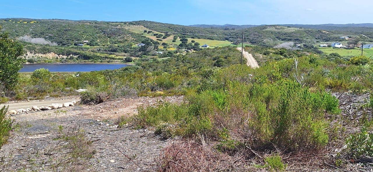 Image 12
