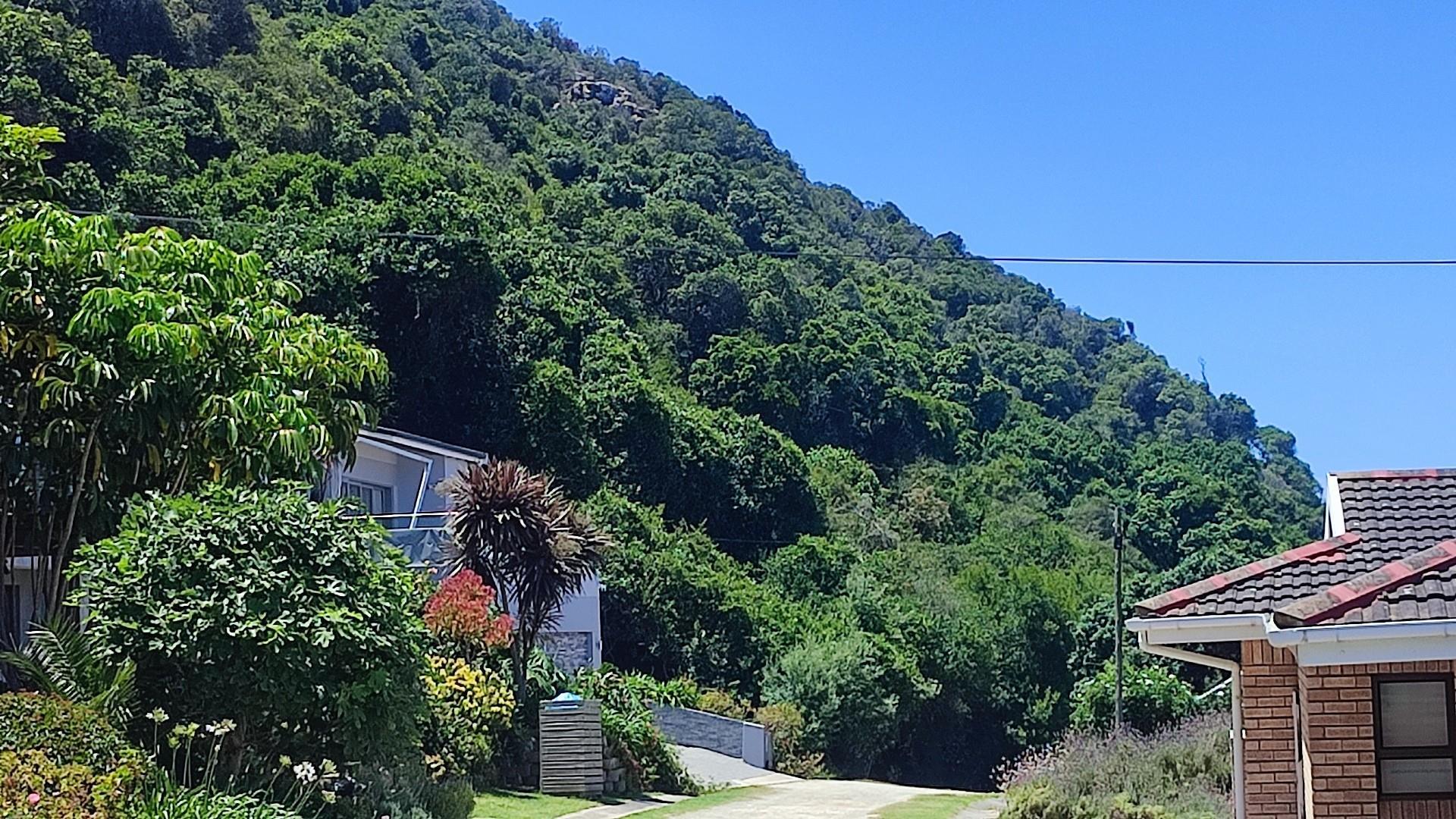 Image 13