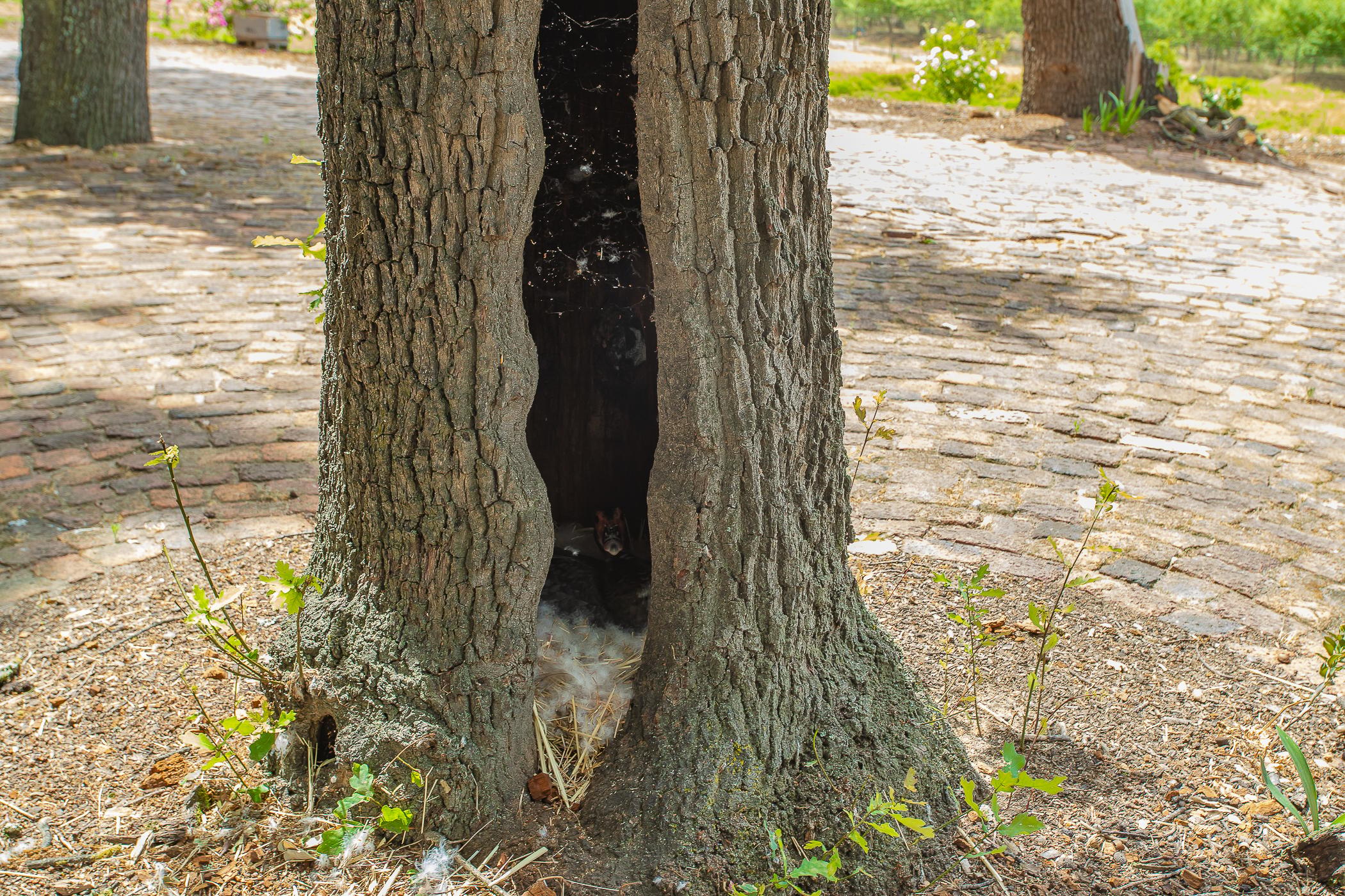 Image 96