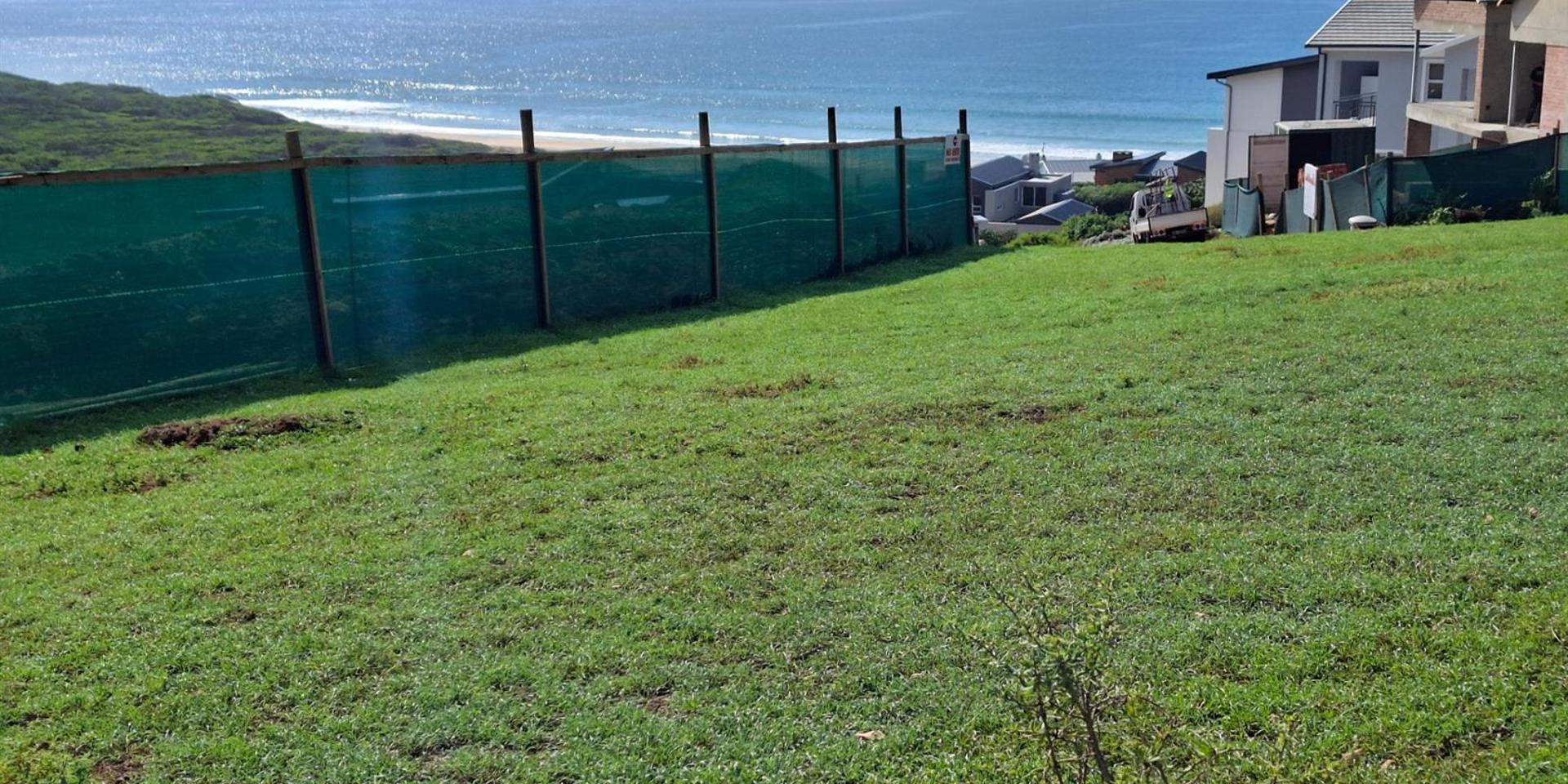 Image 2 of 6