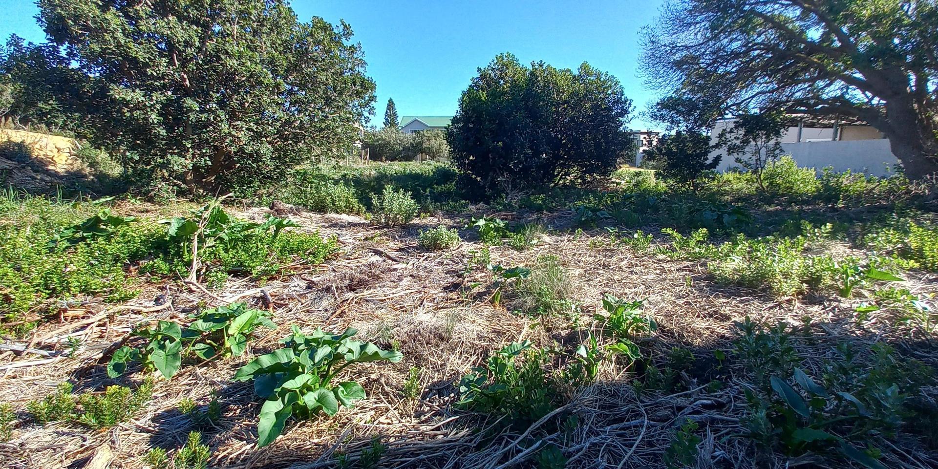 Image 5 of 6