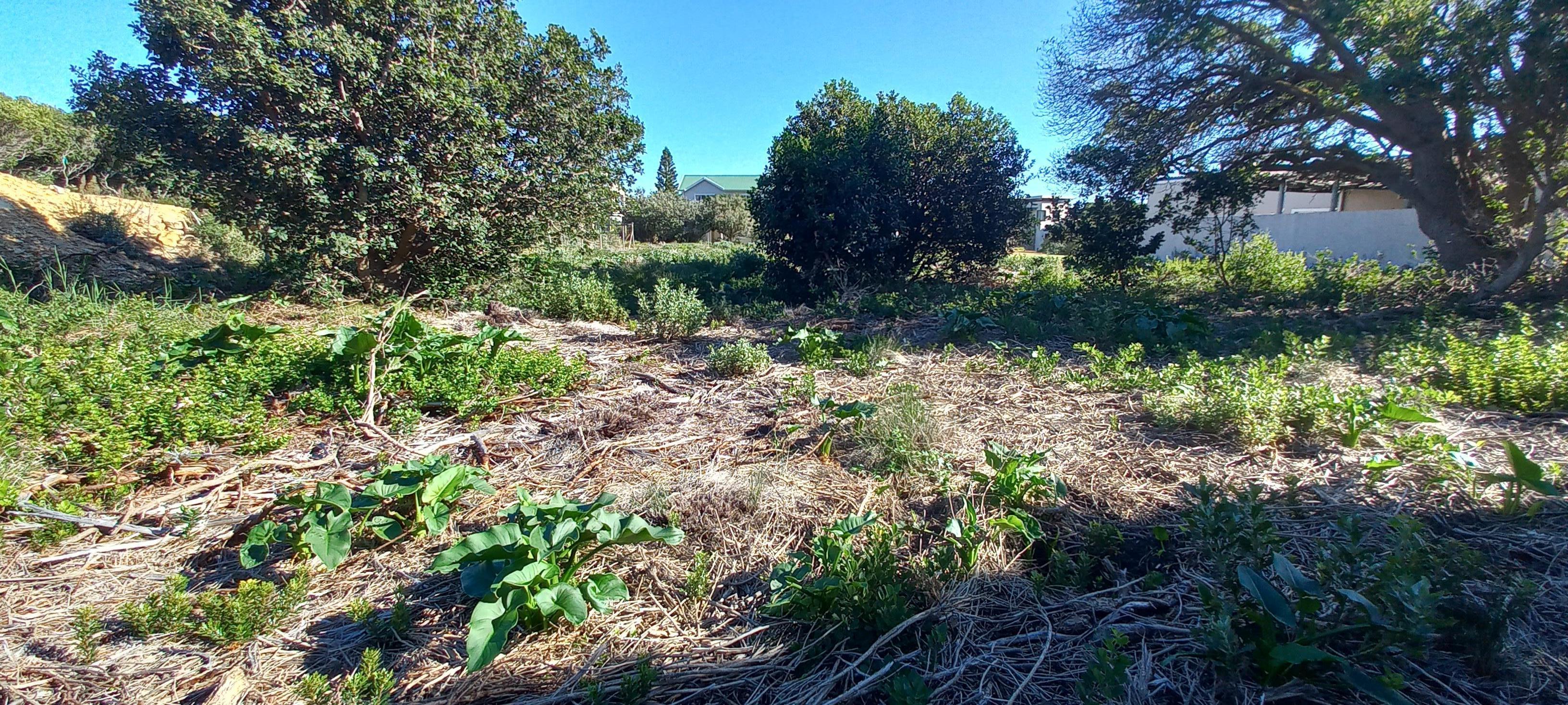 Image 5 of 6