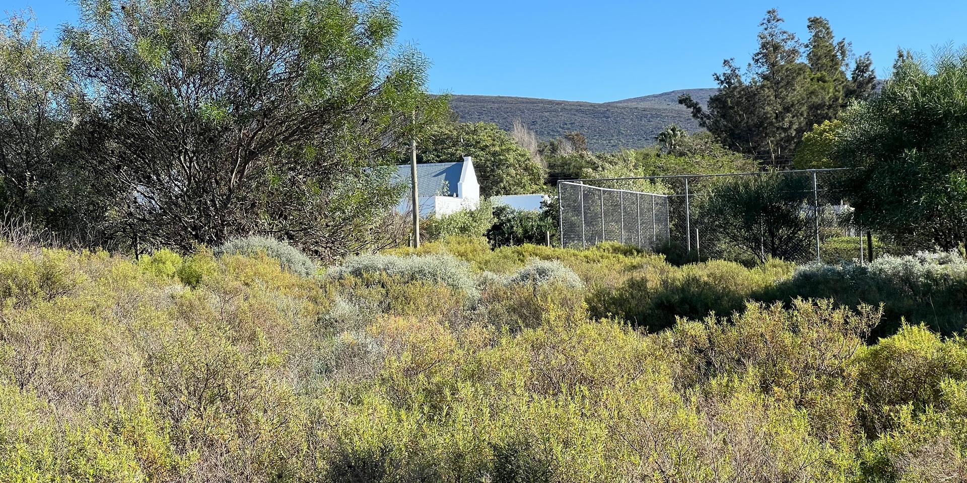 Image 2 of 6