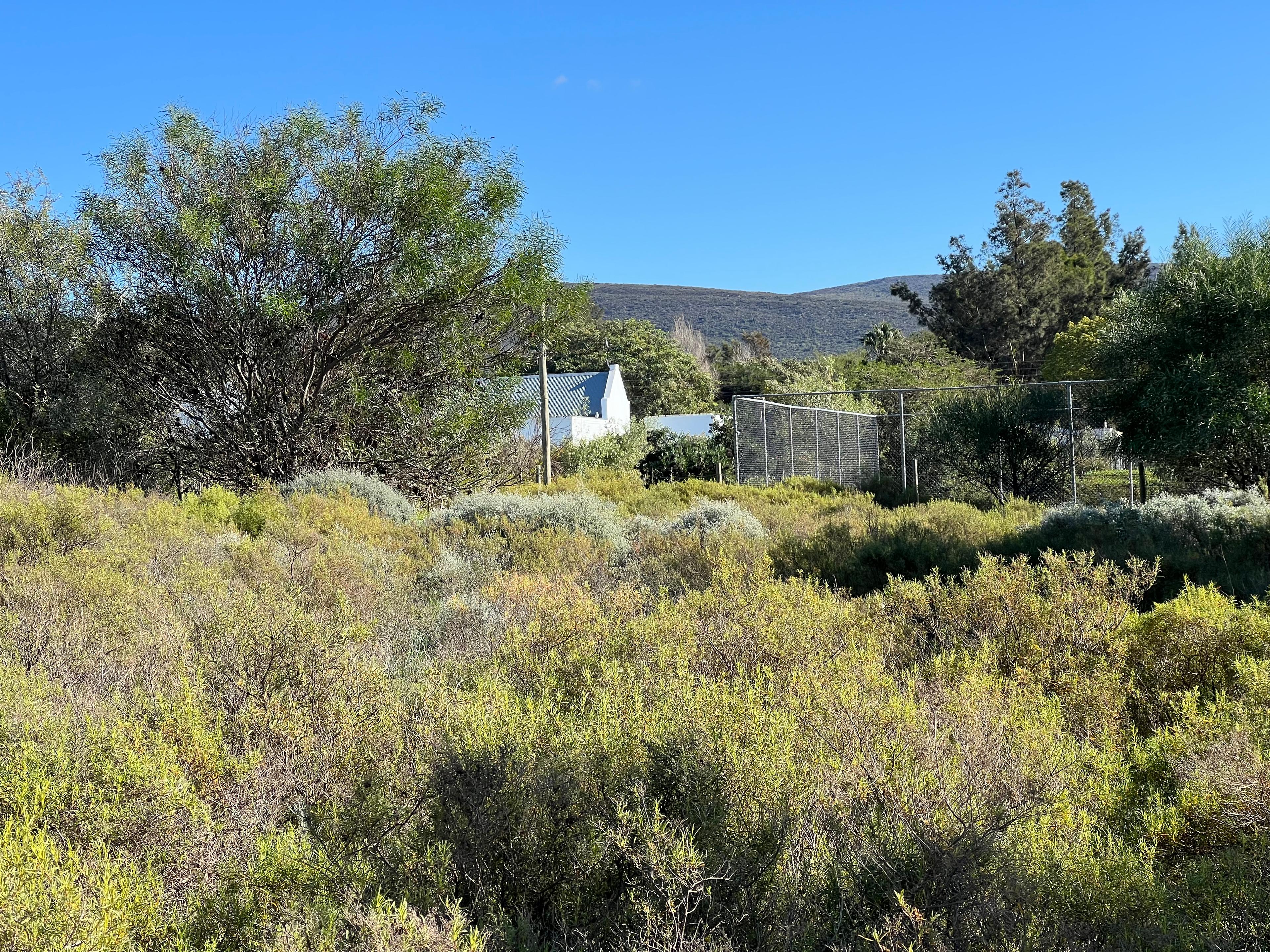 Image 2 of 6