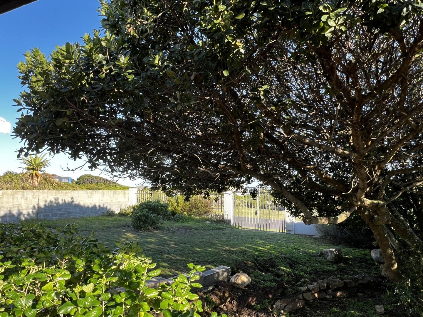 Image 20