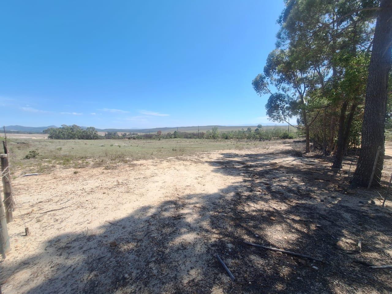 Image 13