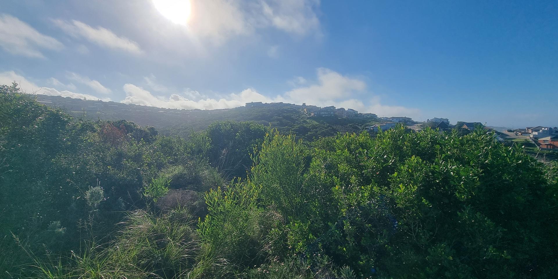 Image 2 of 6
