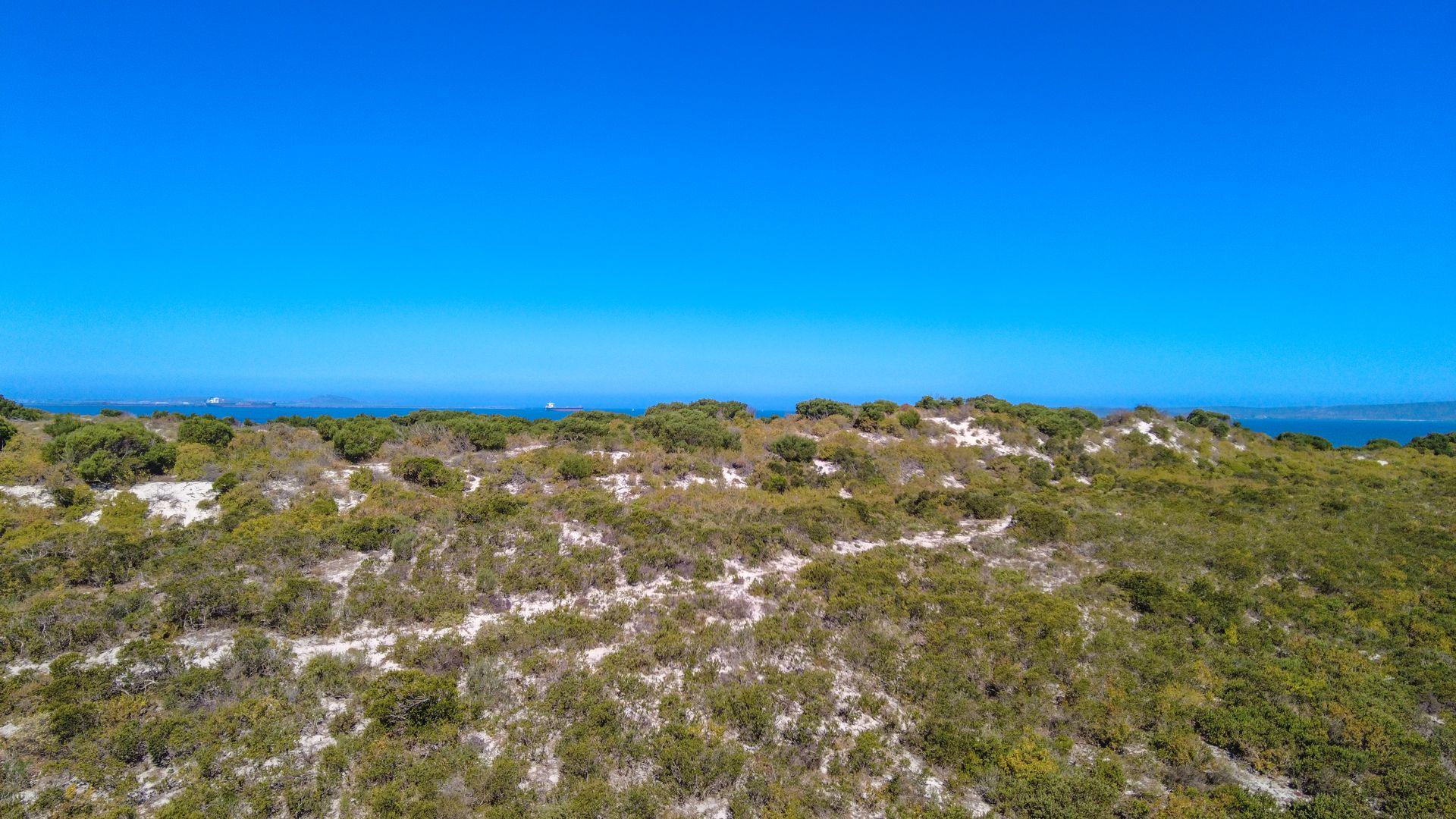 Image 4 of 6