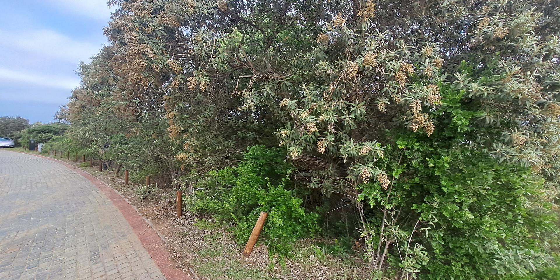 Image 4 of 6