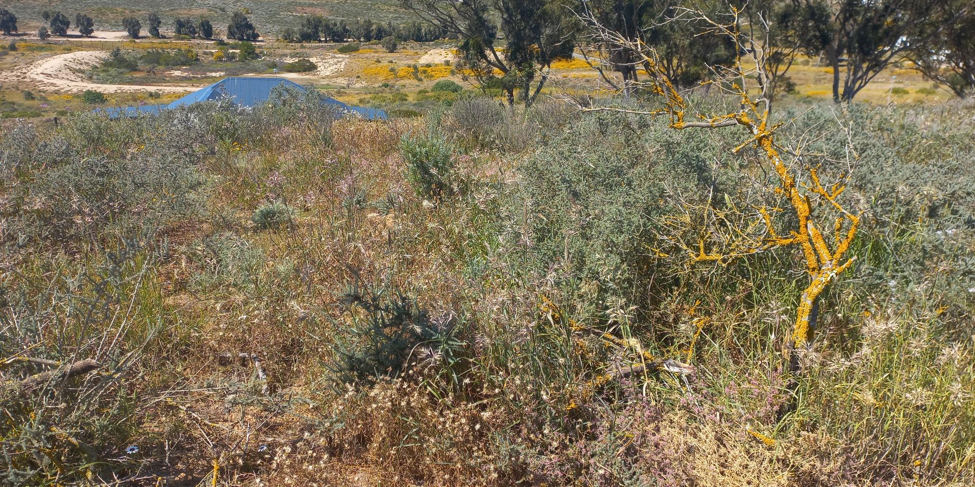 Image 4 of 6