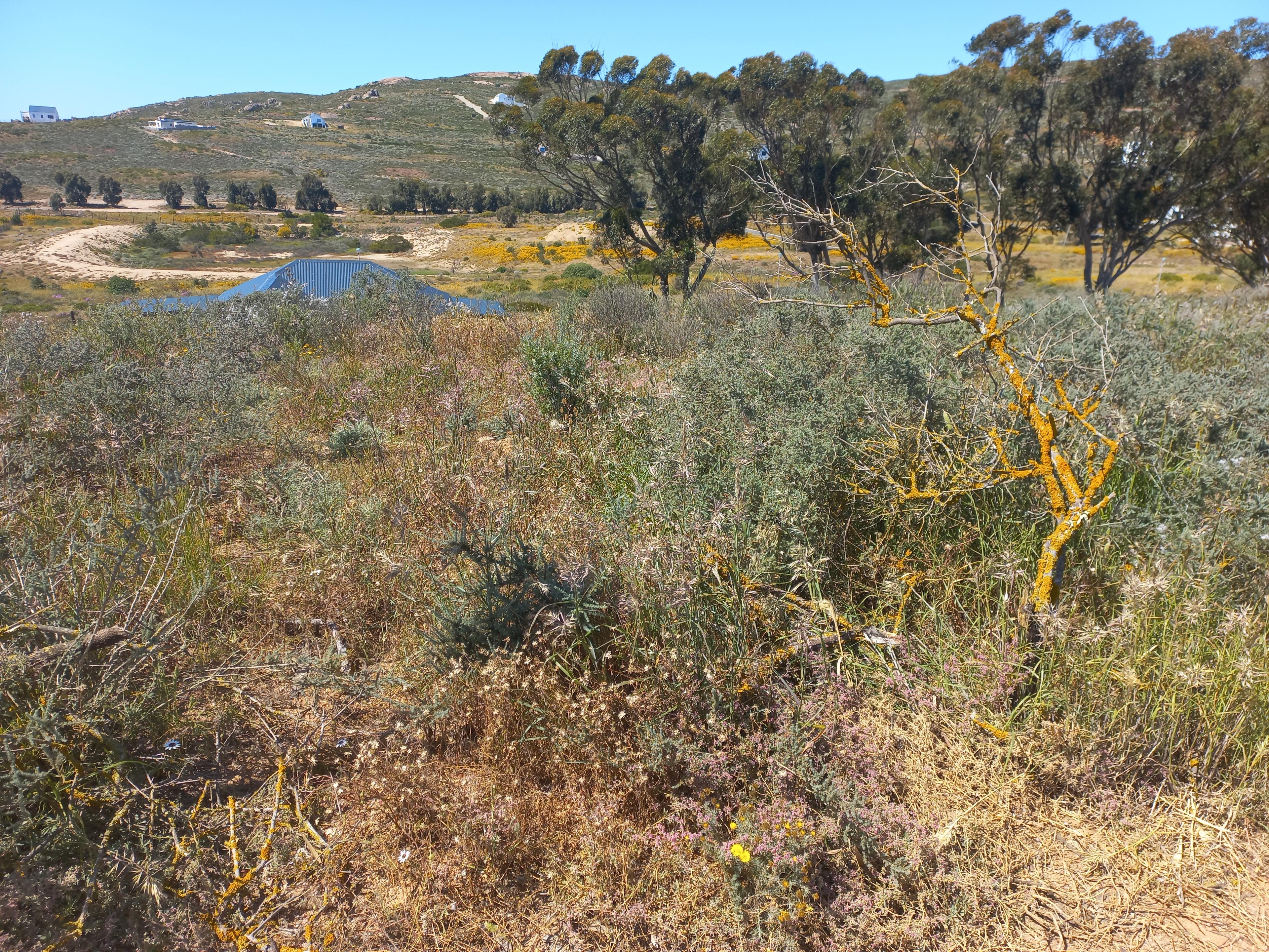 Image 4 of 6