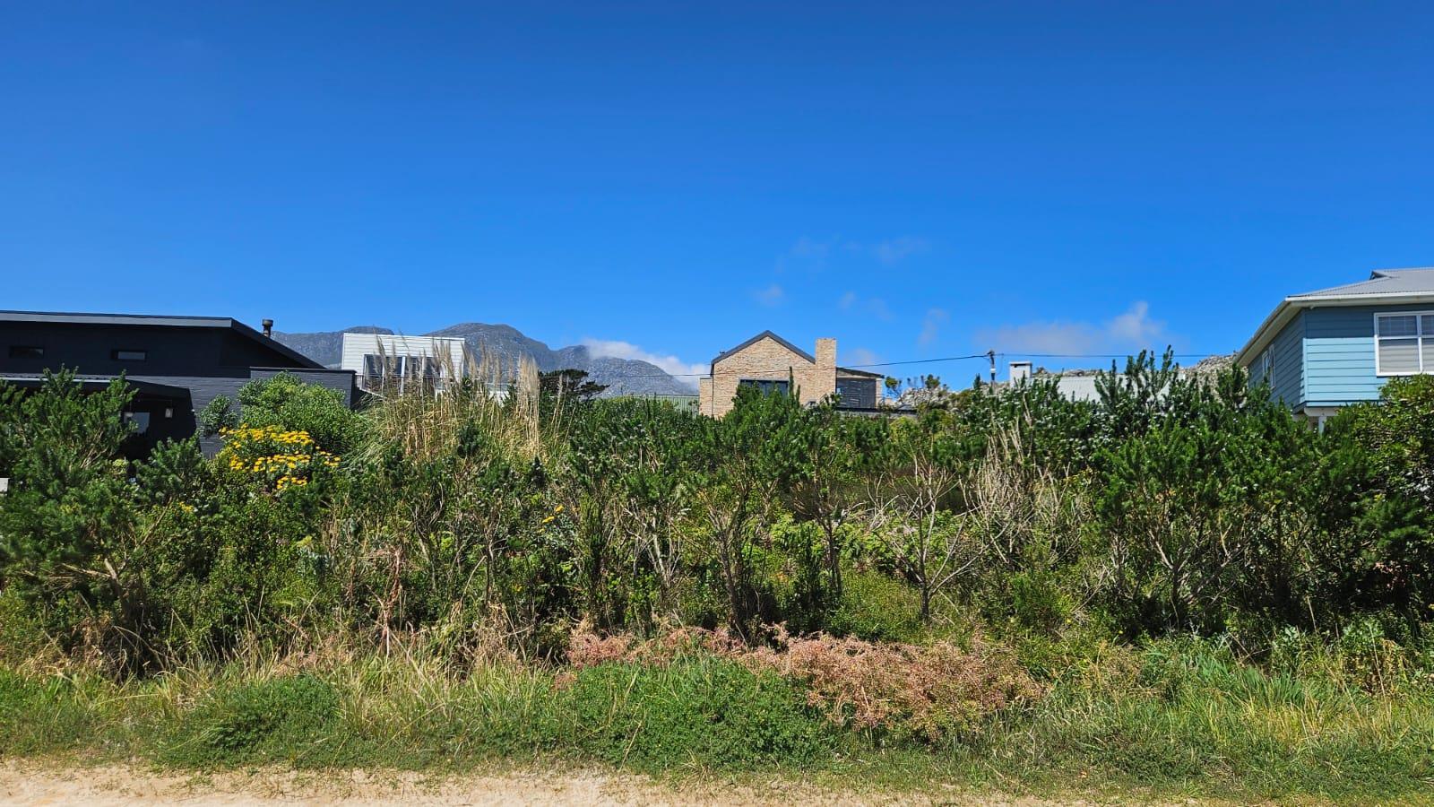 Image 4 of 6