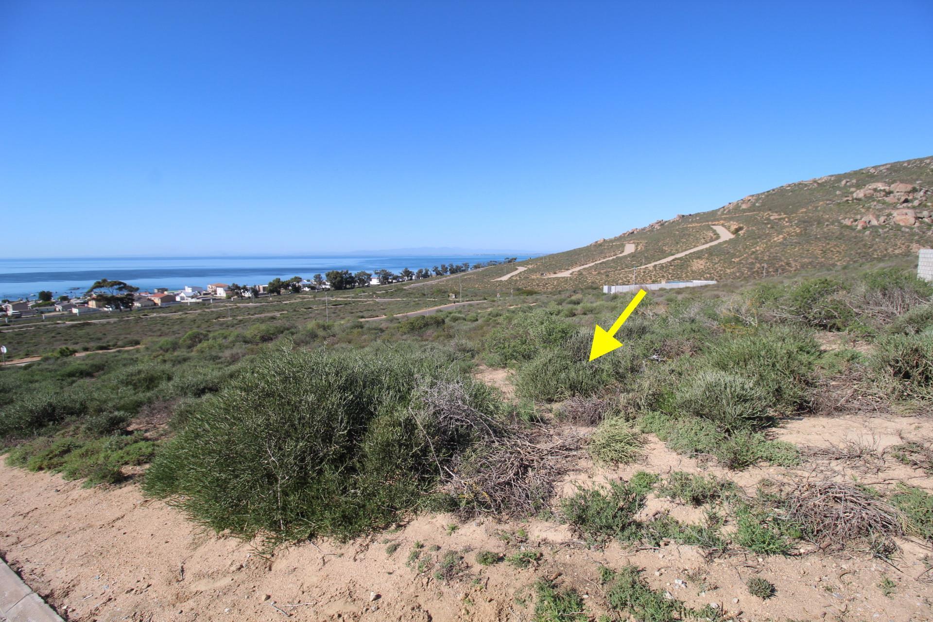 Image 4 of 6