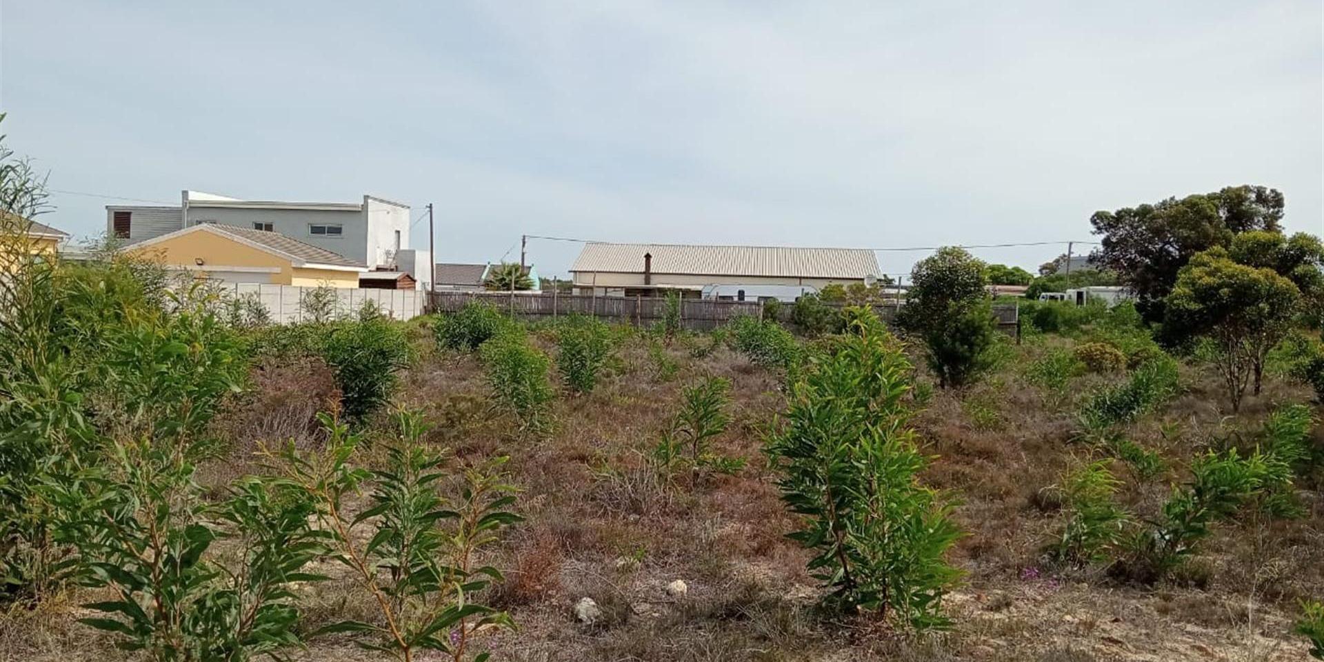 Image 3 of 6