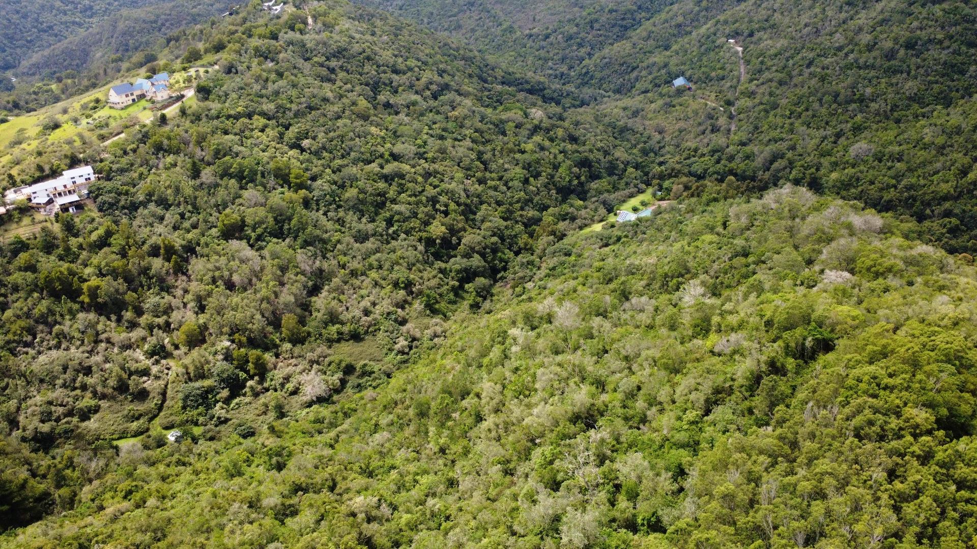 Image 3 of 6
