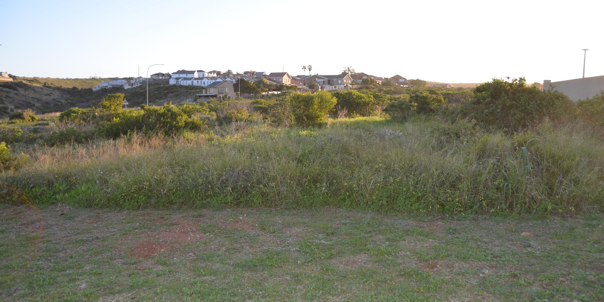Image 5 of 6