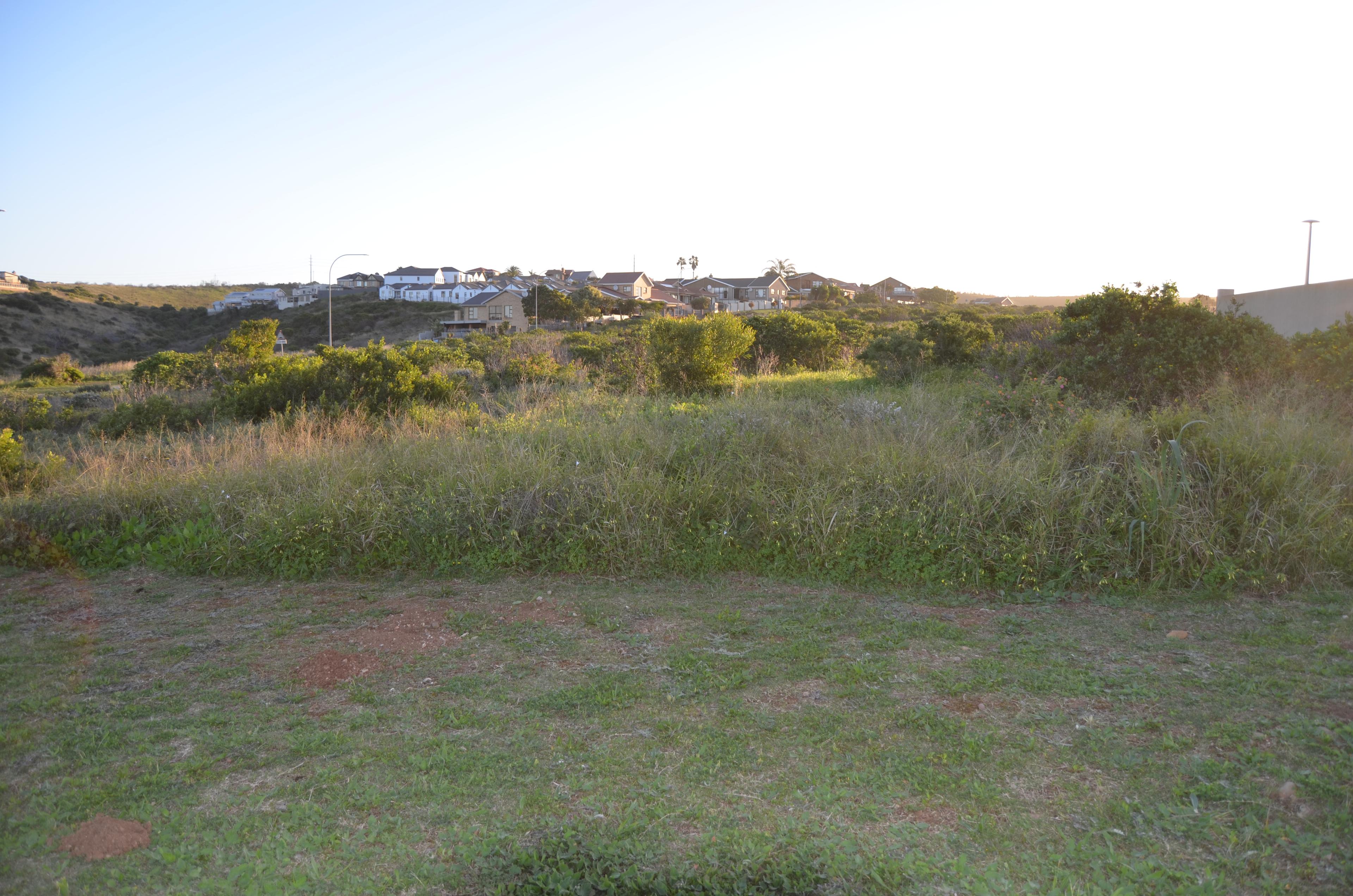Image 5 of 6