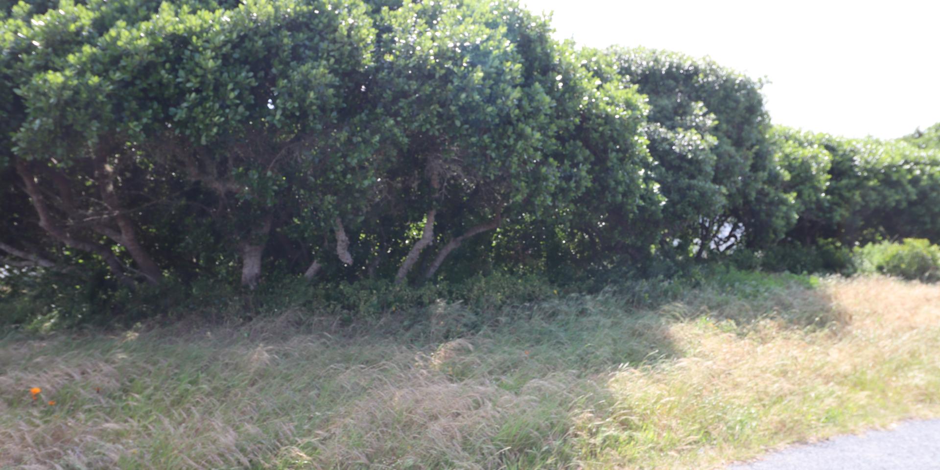 Image 2 of 6