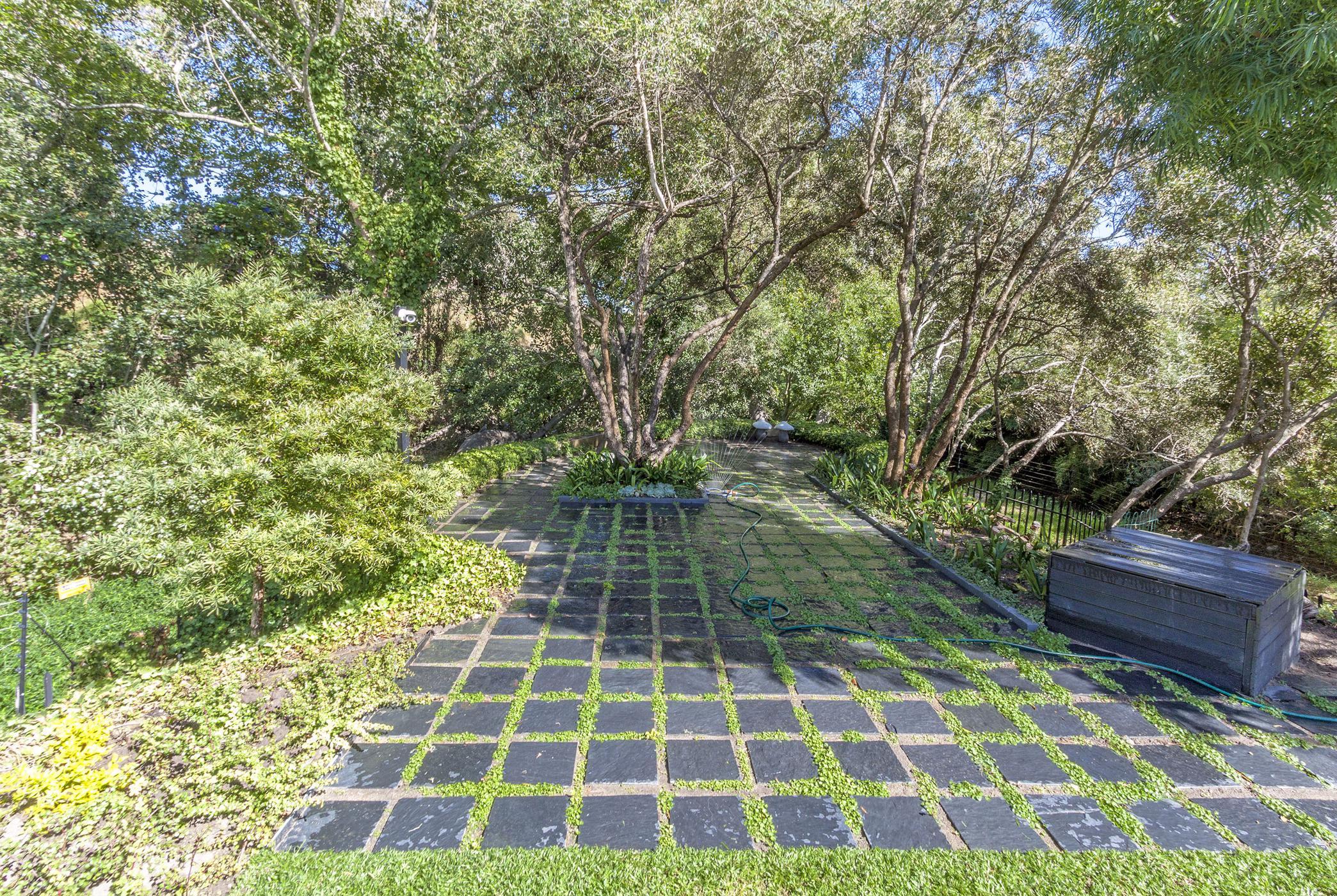 Image 64