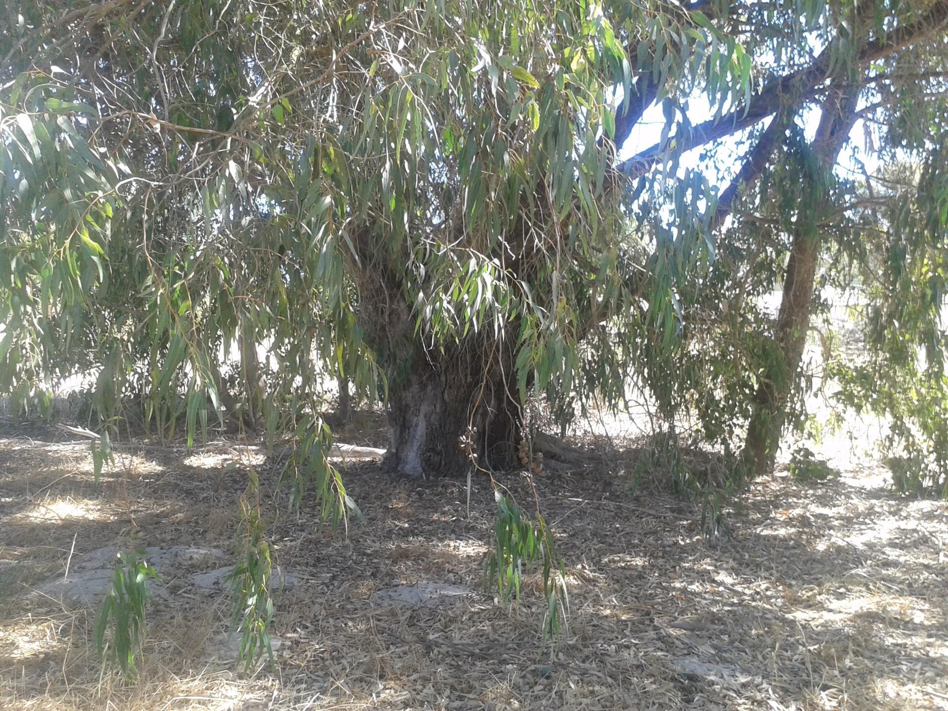 Image 6