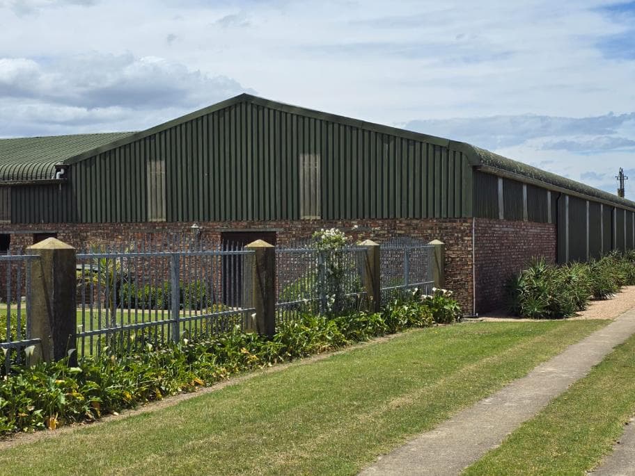 Image 19