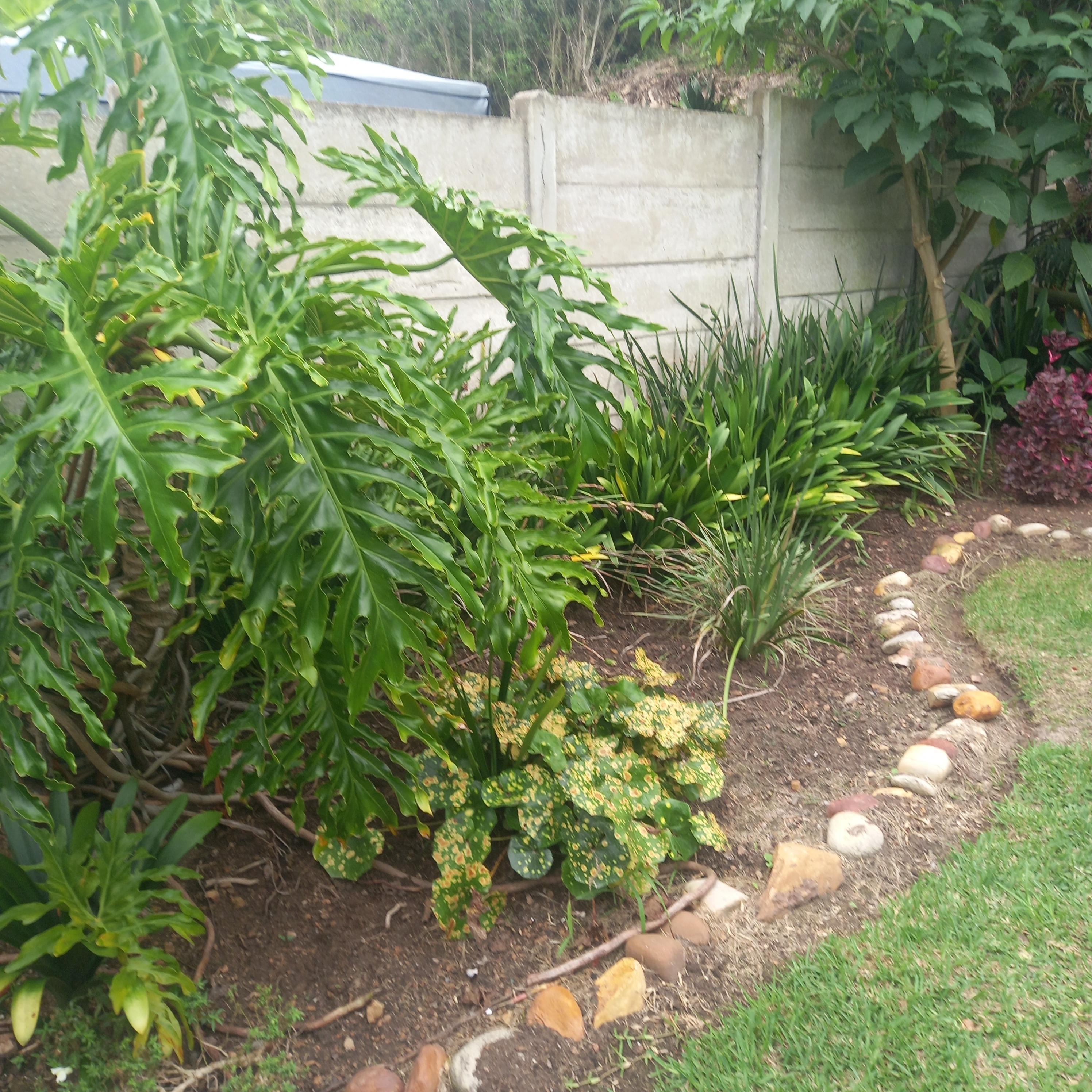 Image 14