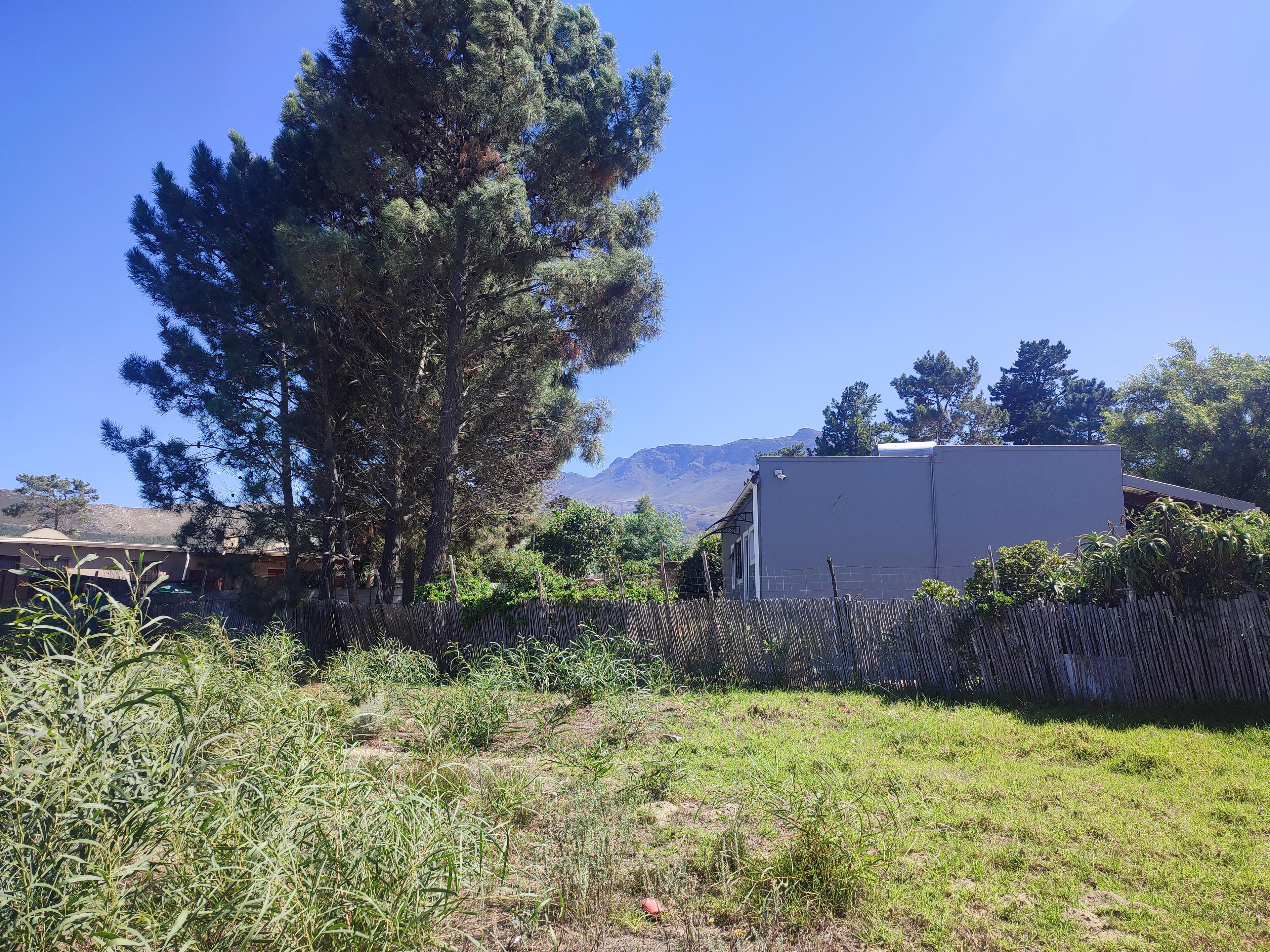 Image 8