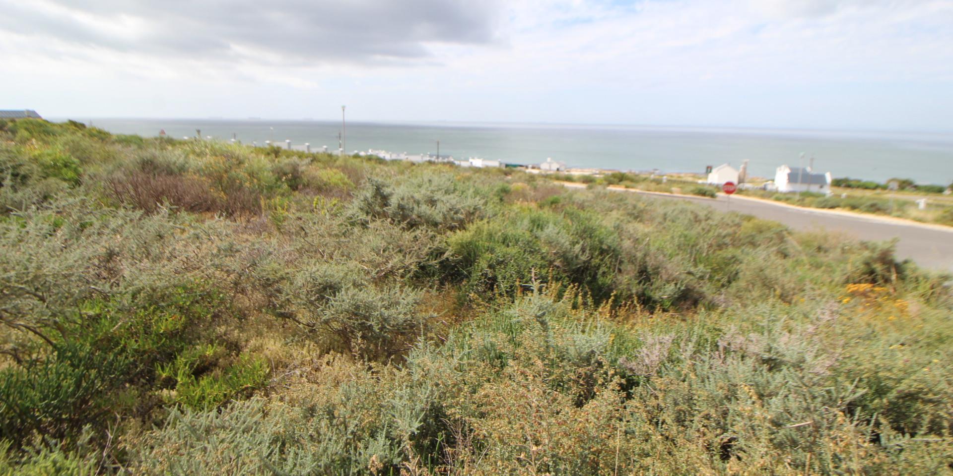 Image 2 of 6