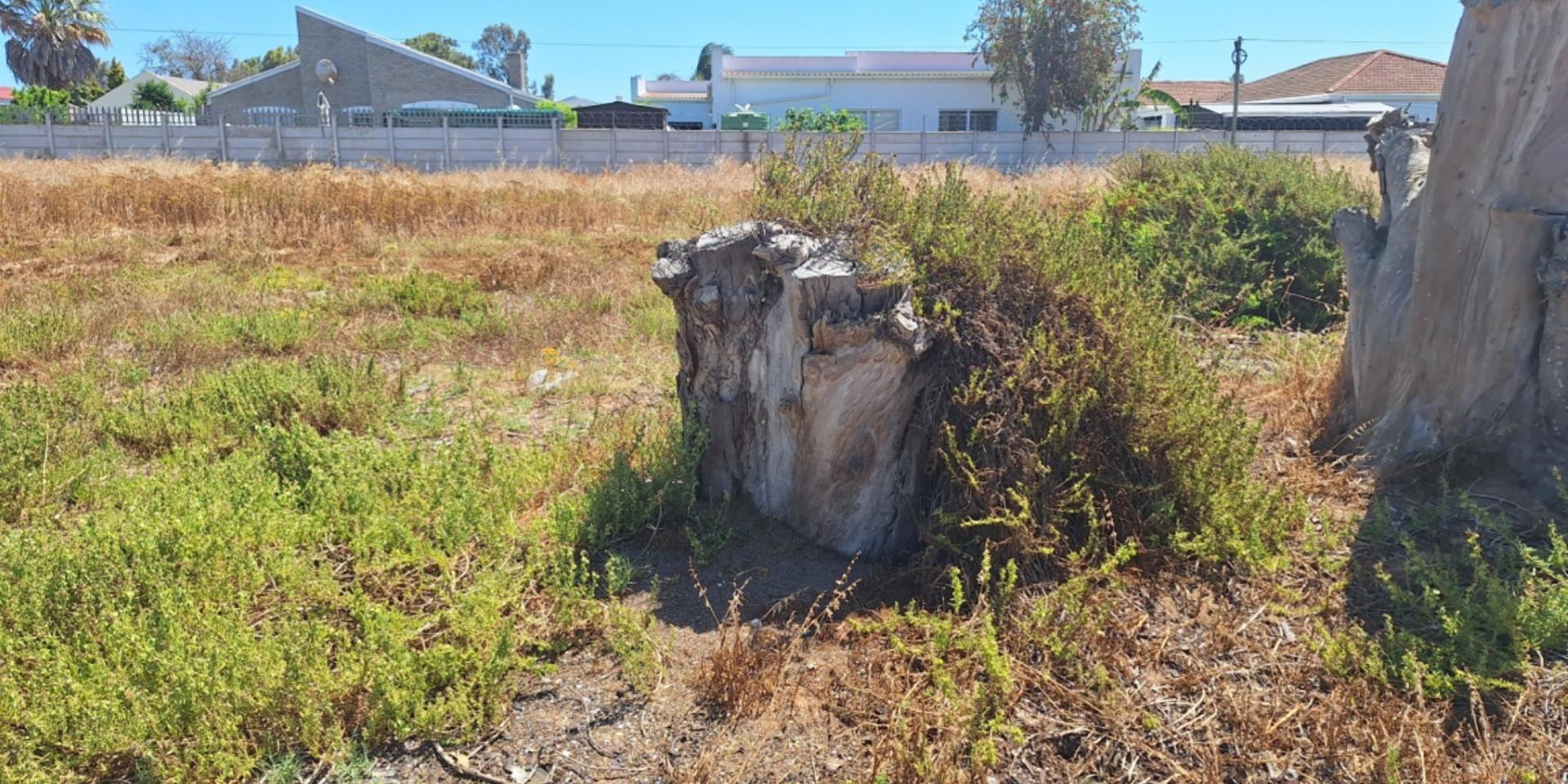 Image 4 of 6