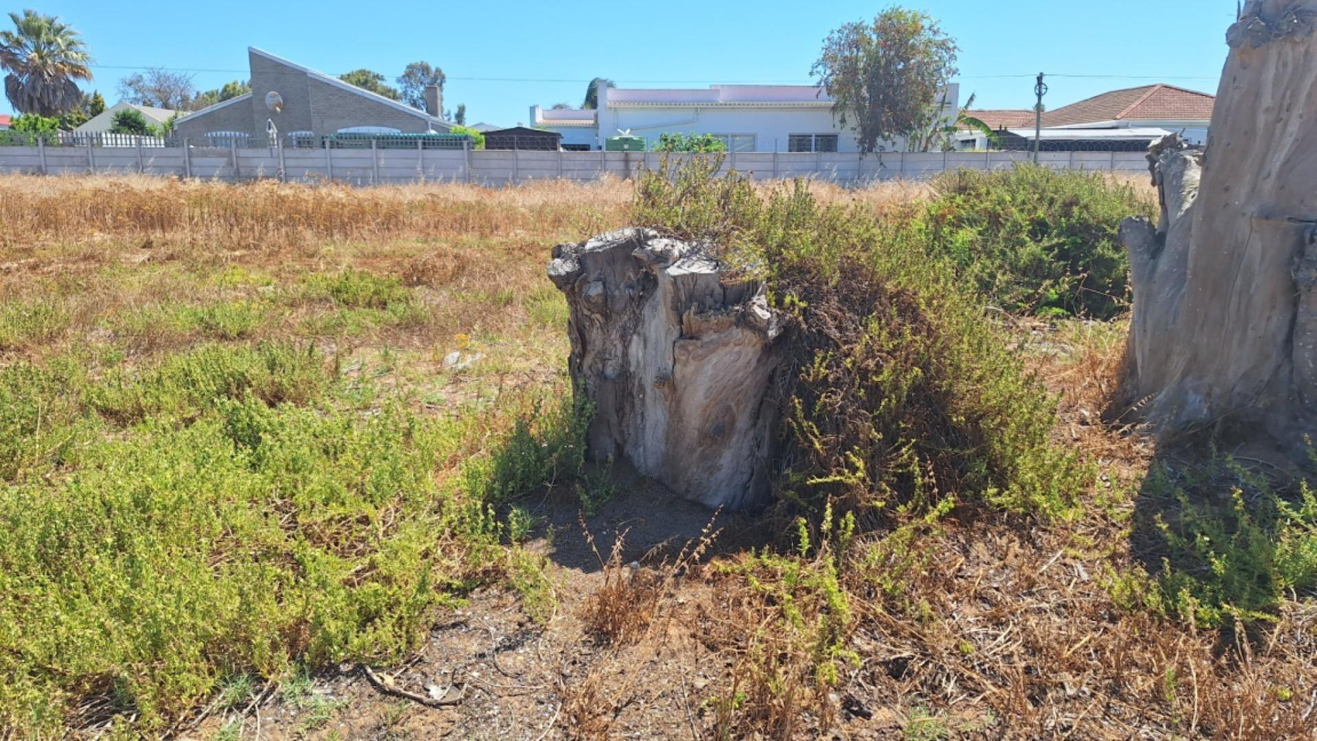 Image 4 of 6
