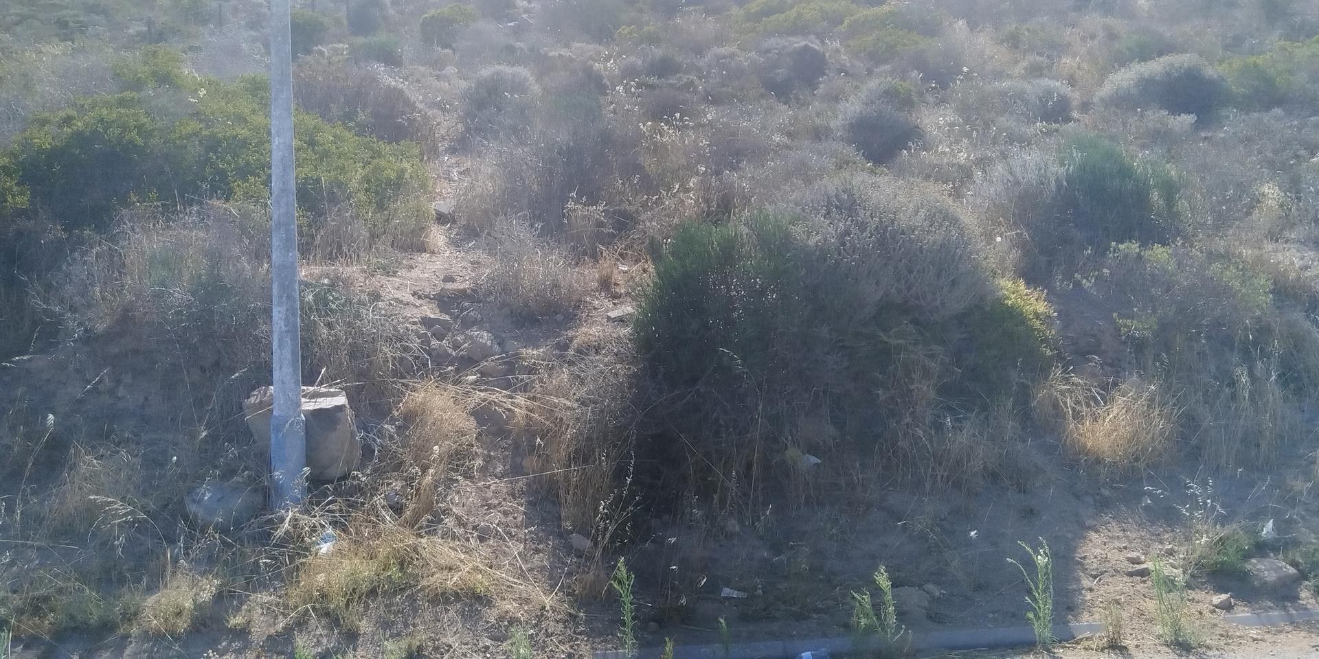 Image 4 of 6