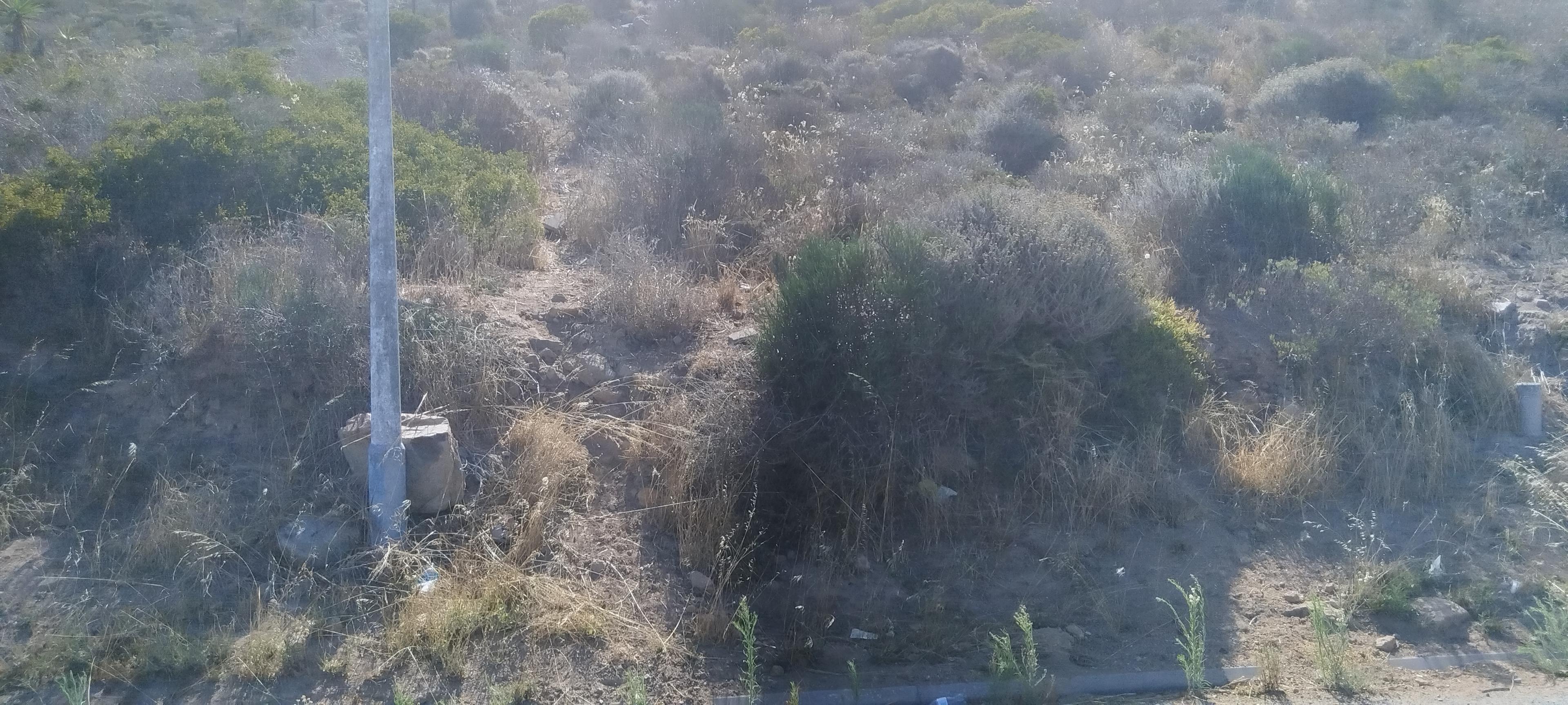 Image 4 of 6