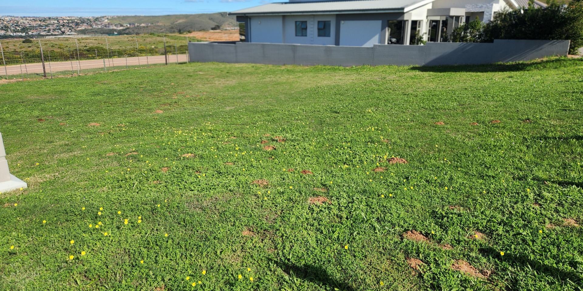 Image 3 of 6
