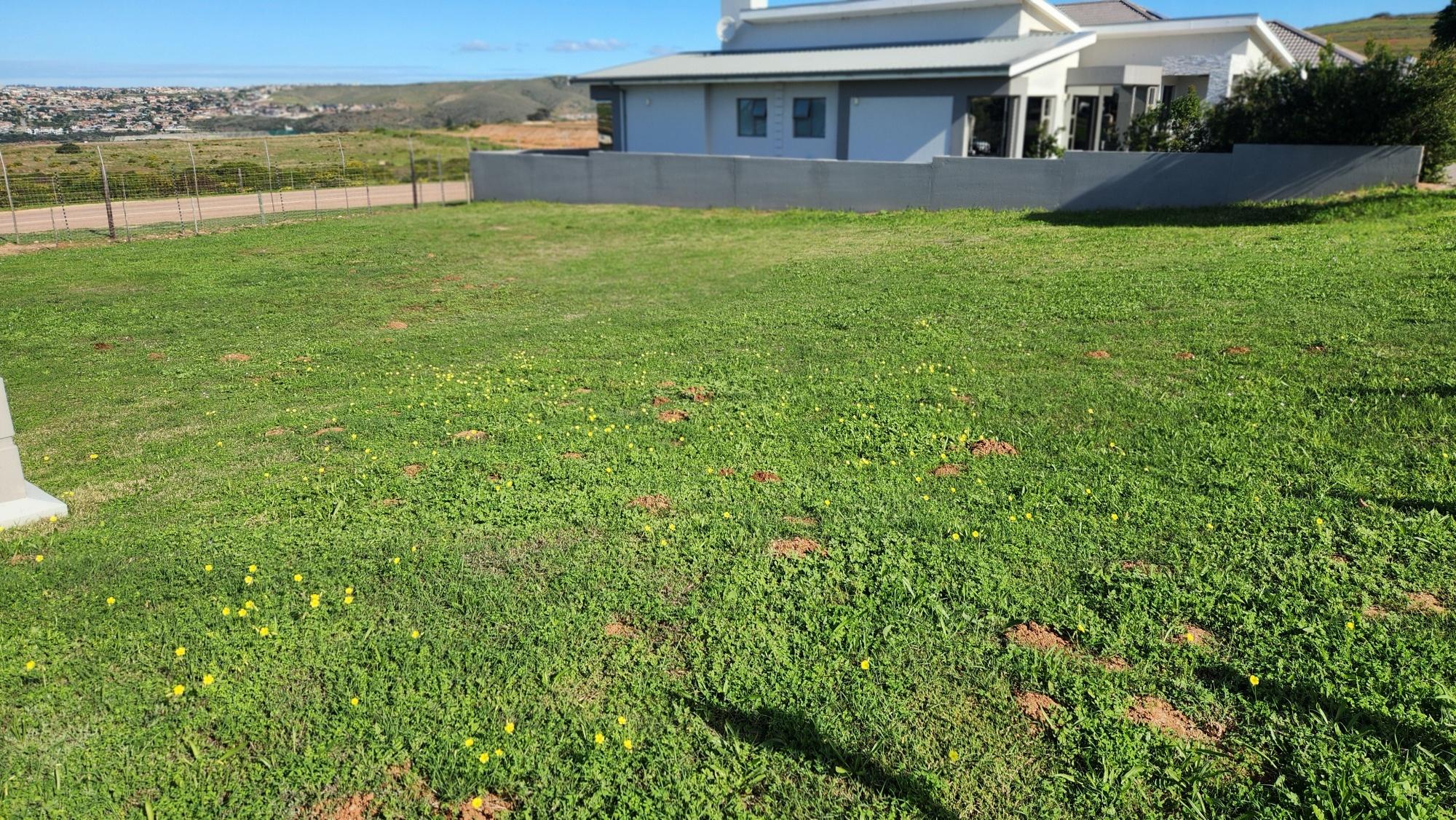 Image 3 of 6