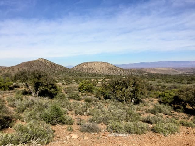 Image 5 of 6