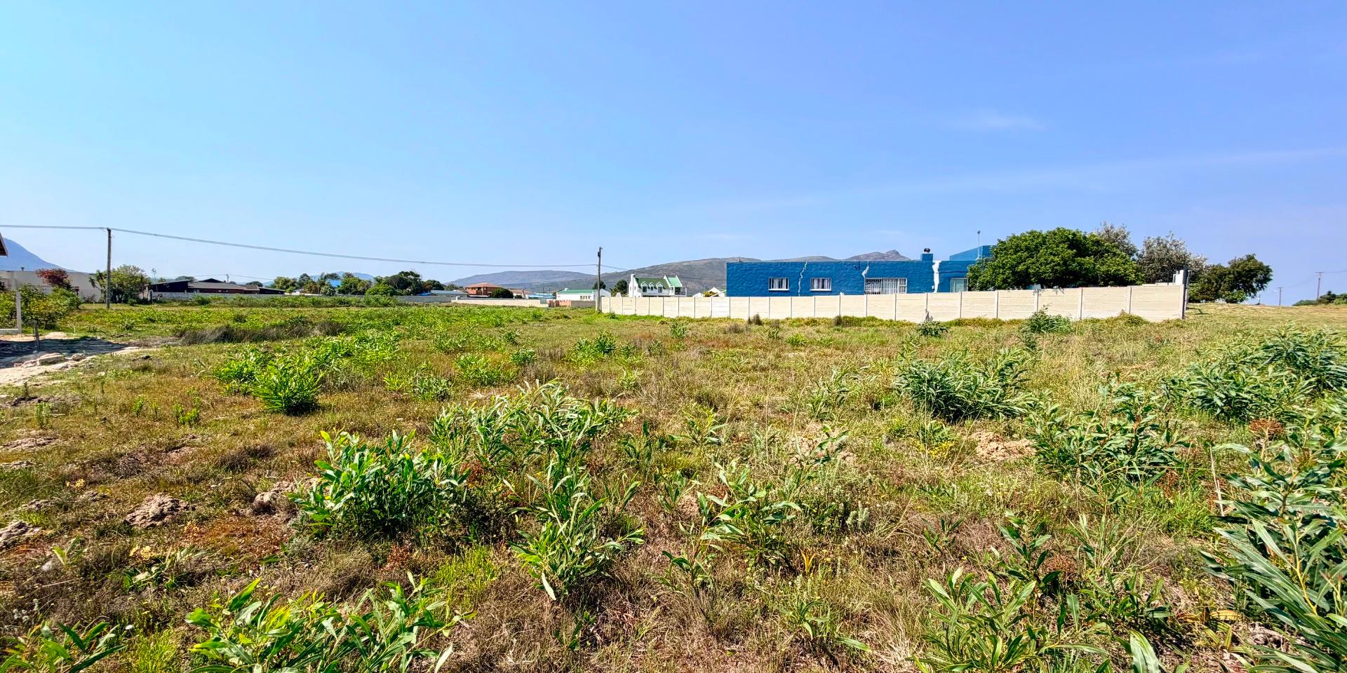 Image 4 of 6