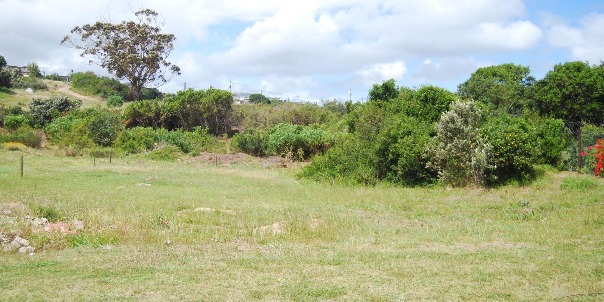 Image 5 of 6