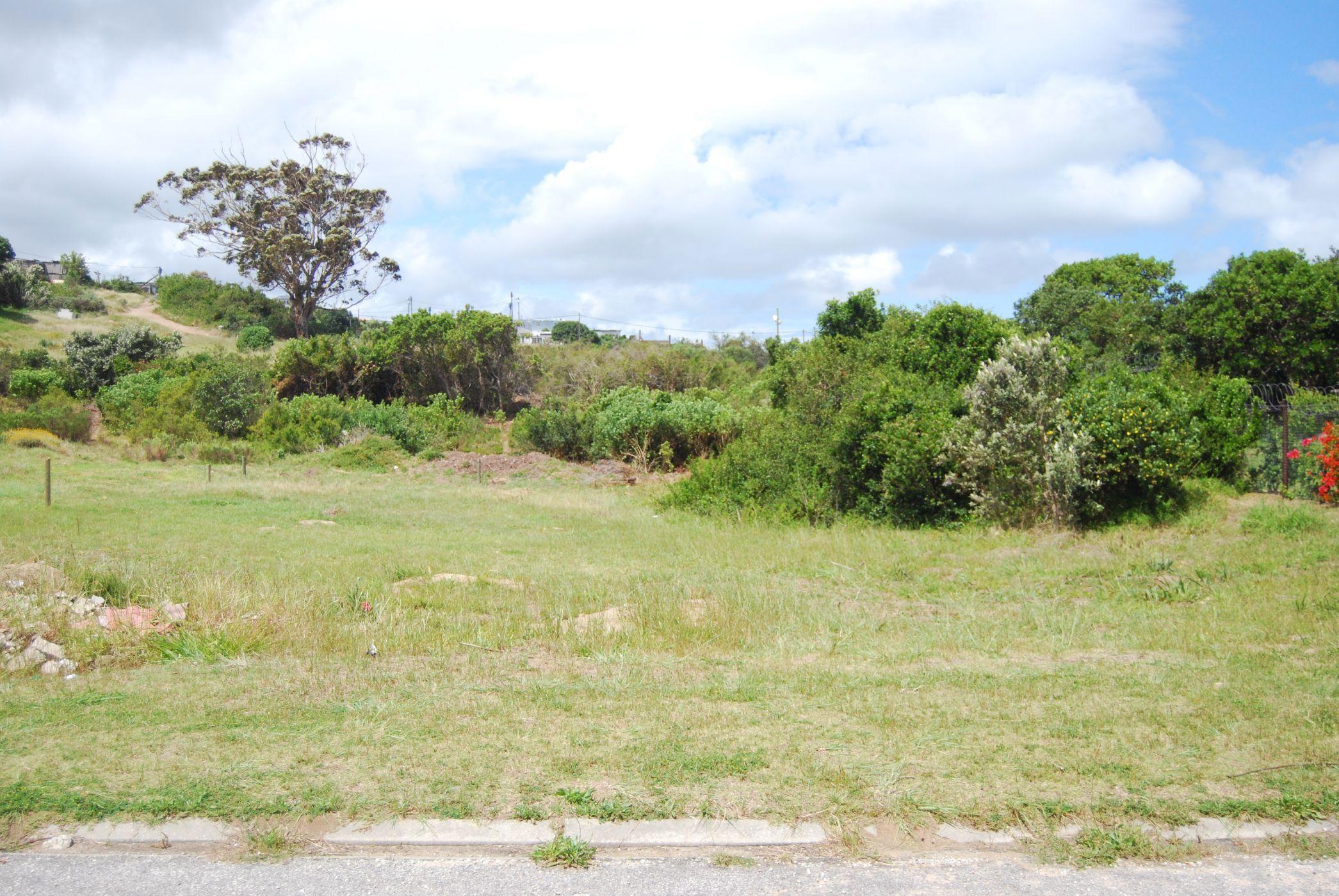 Image 5 of 6
