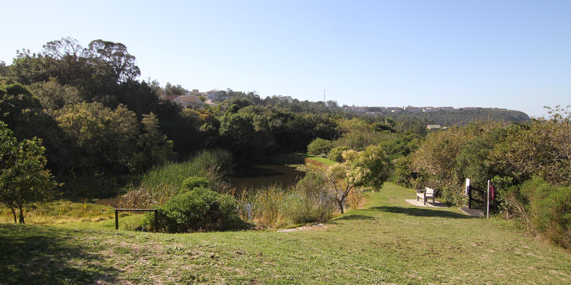 Image 5 of 6