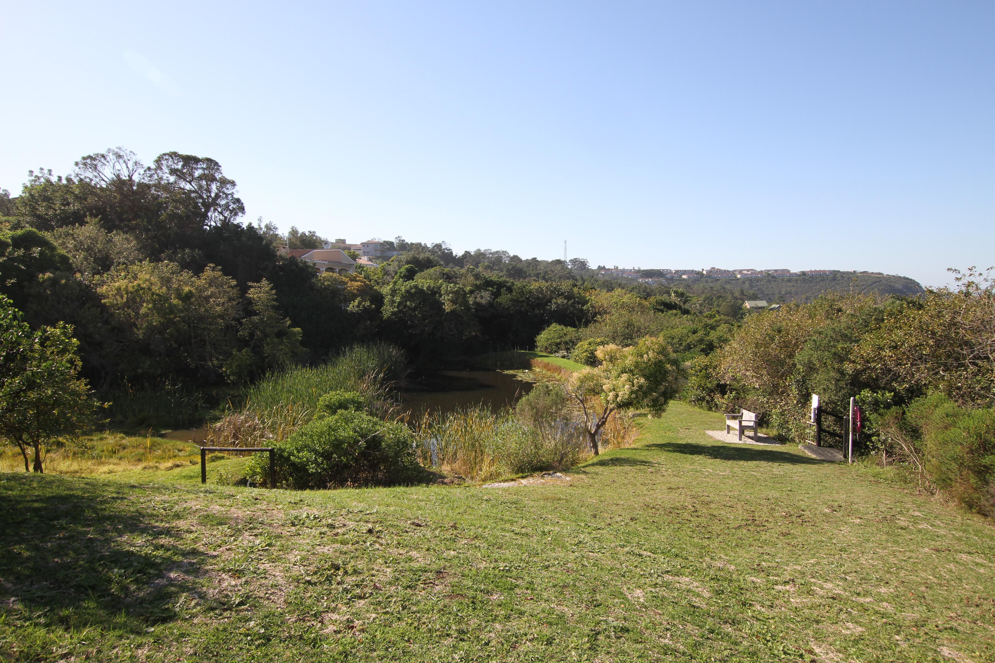 Image 5 of 6
