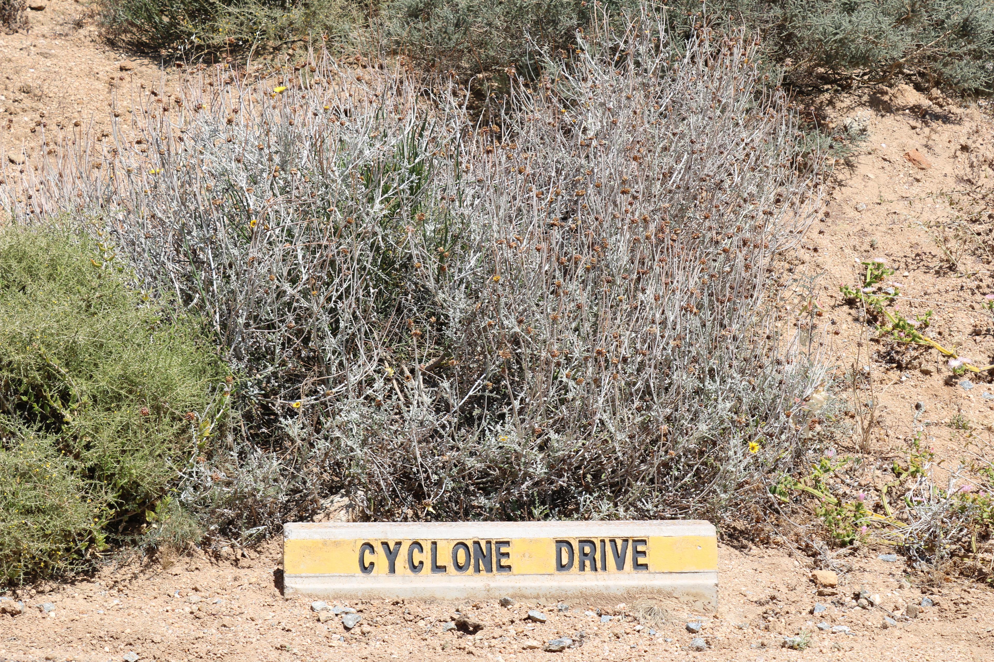 Image 11