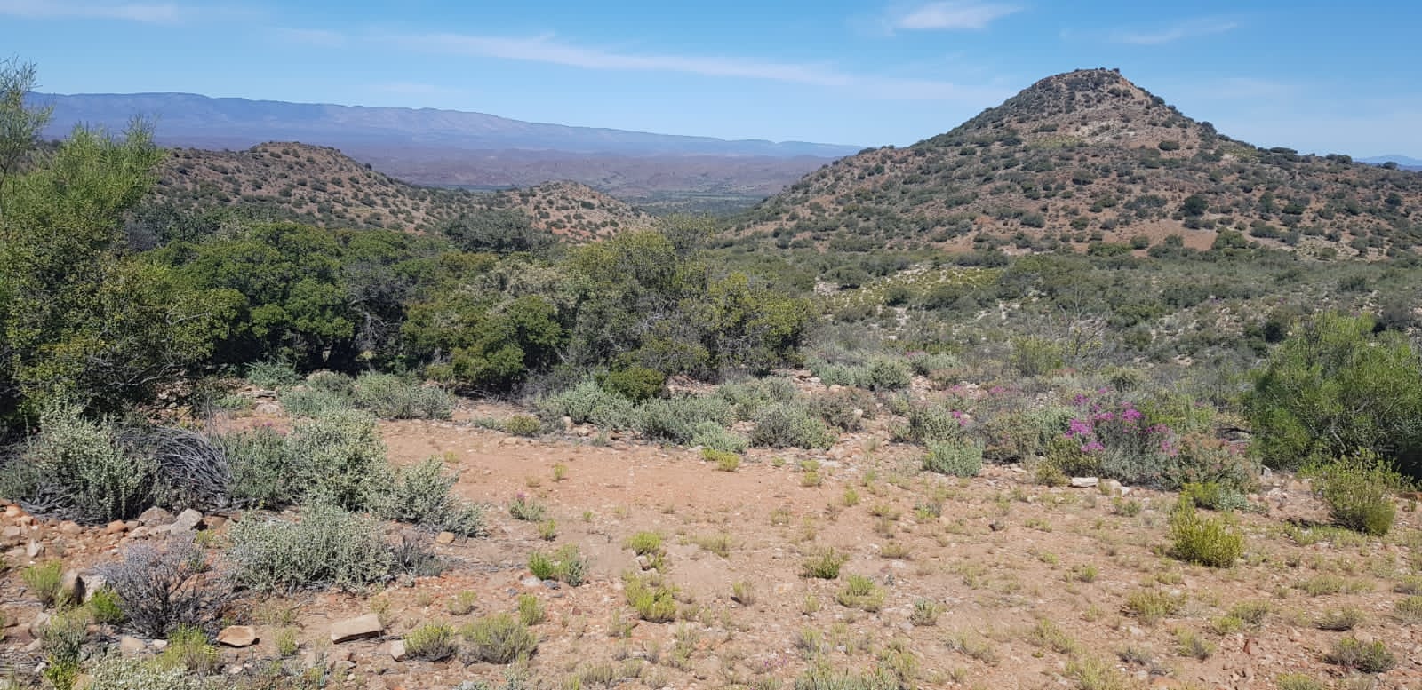 Image 13