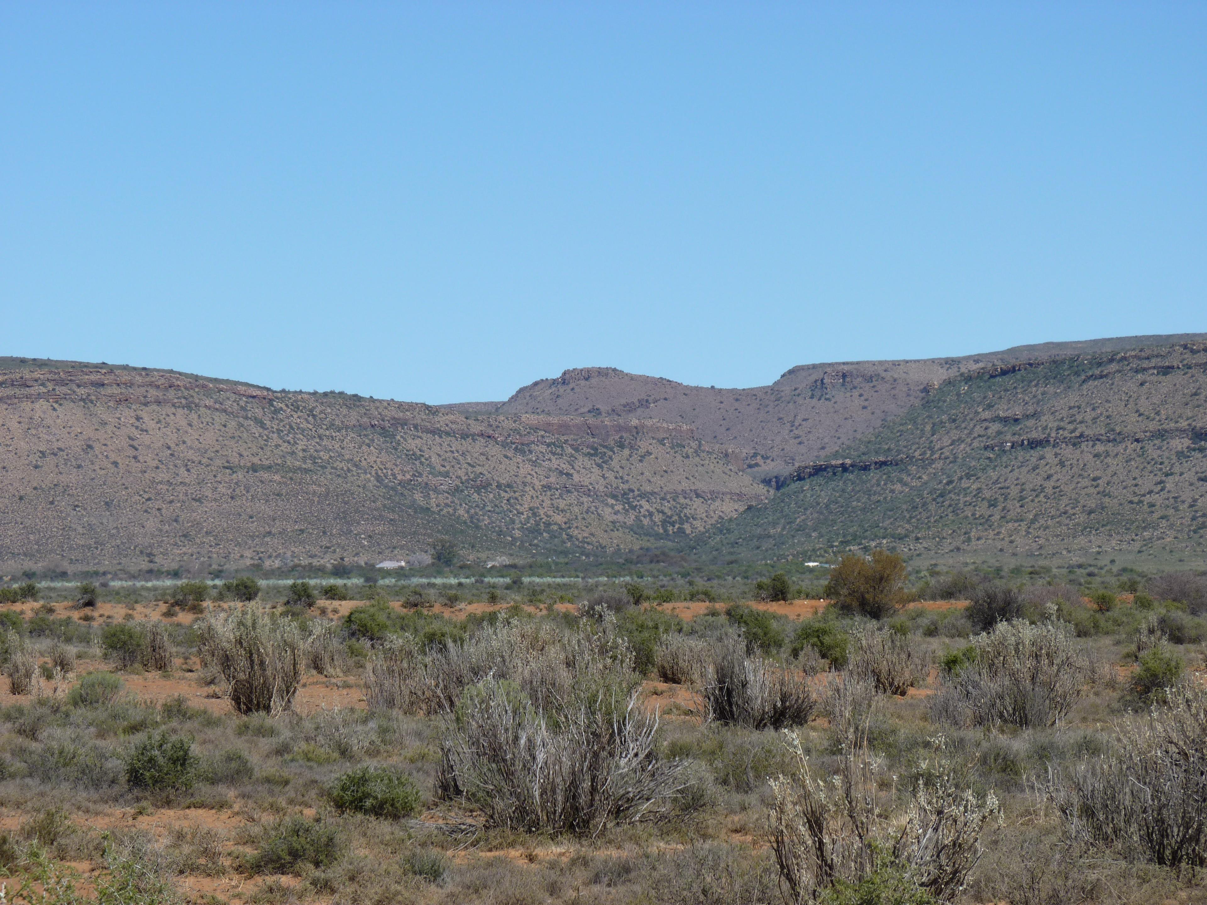 Image 72