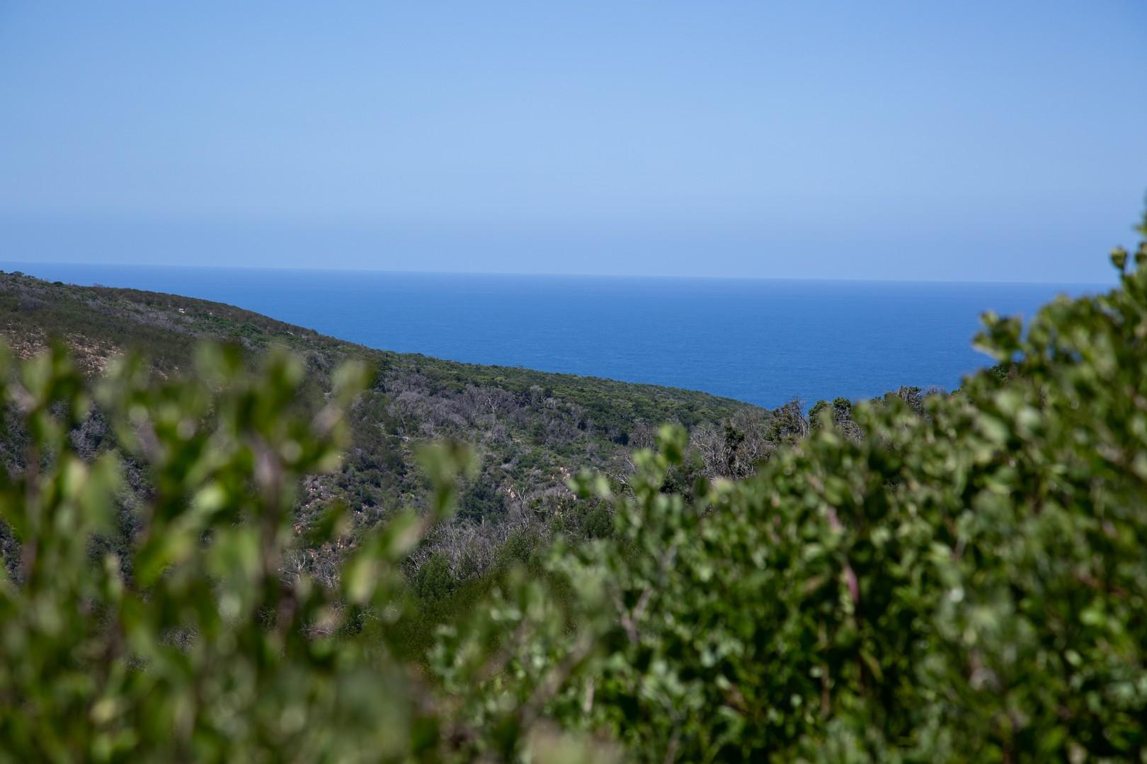 Image 25