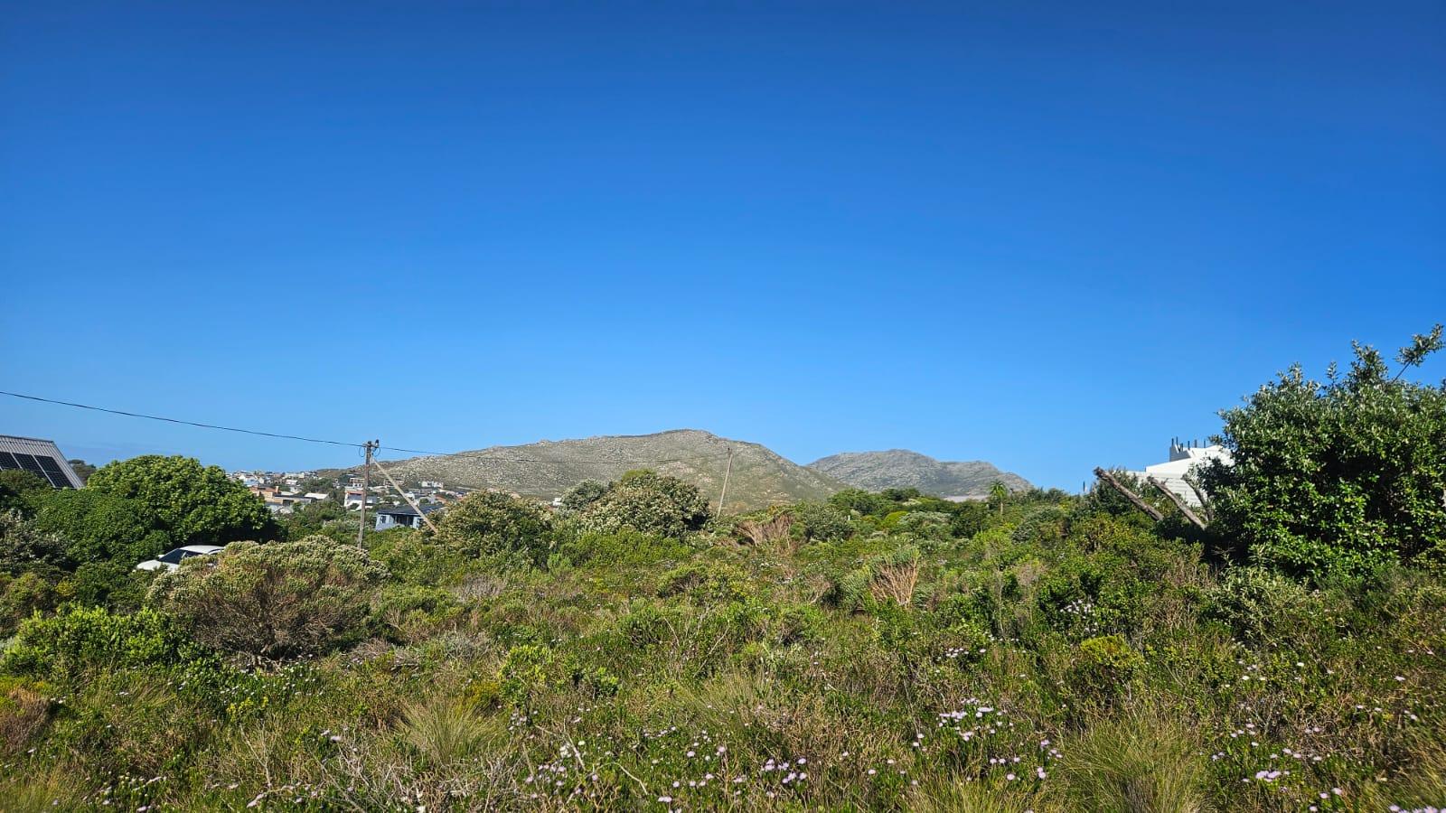 Image 2 of 6