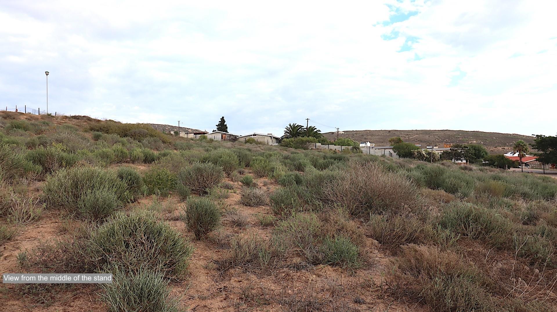 Image 13