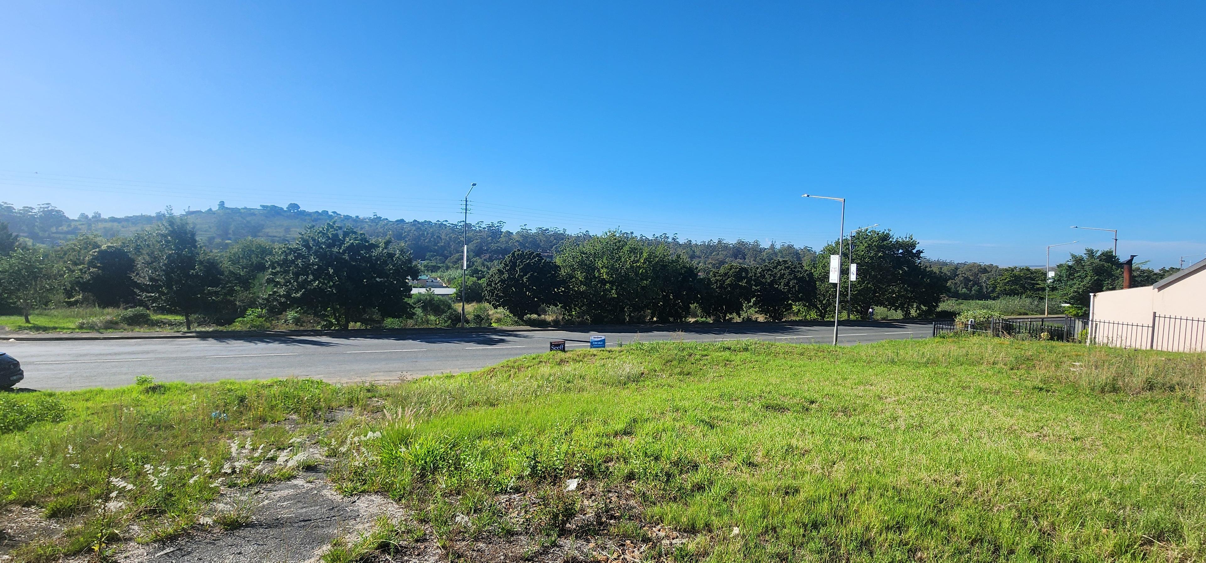 Image 13