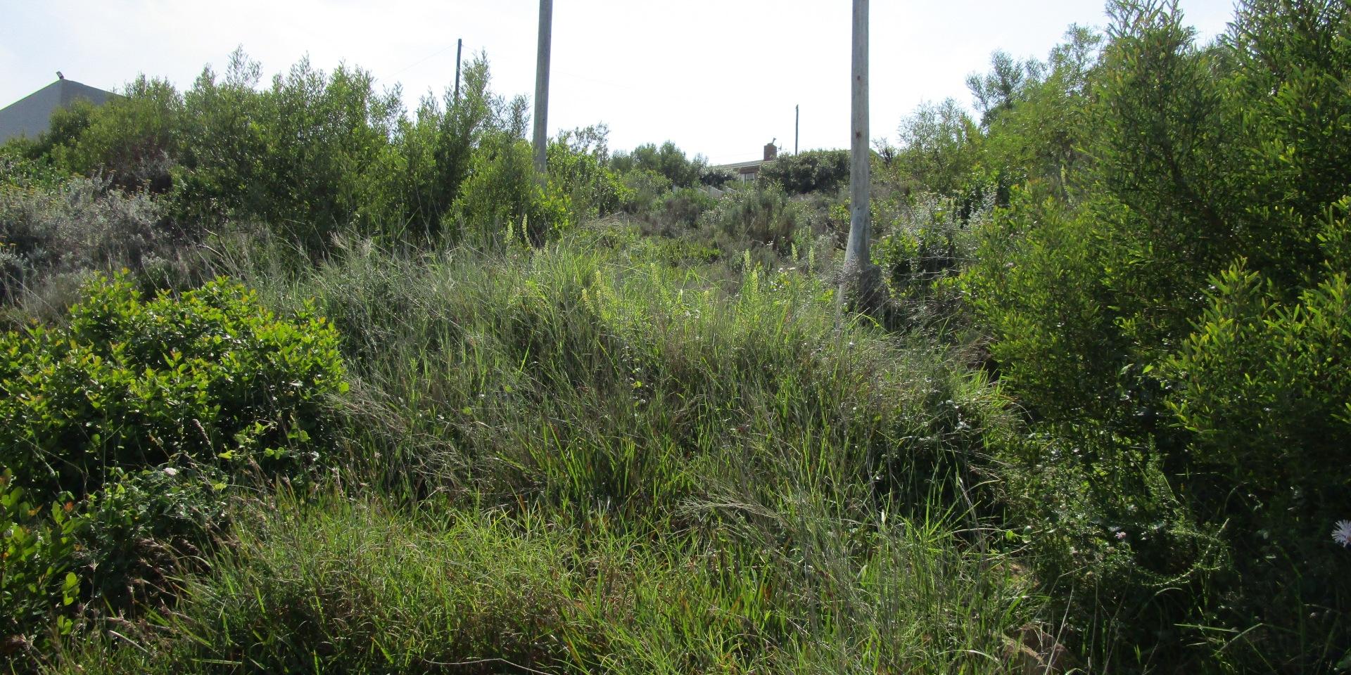 Image 4 of 6