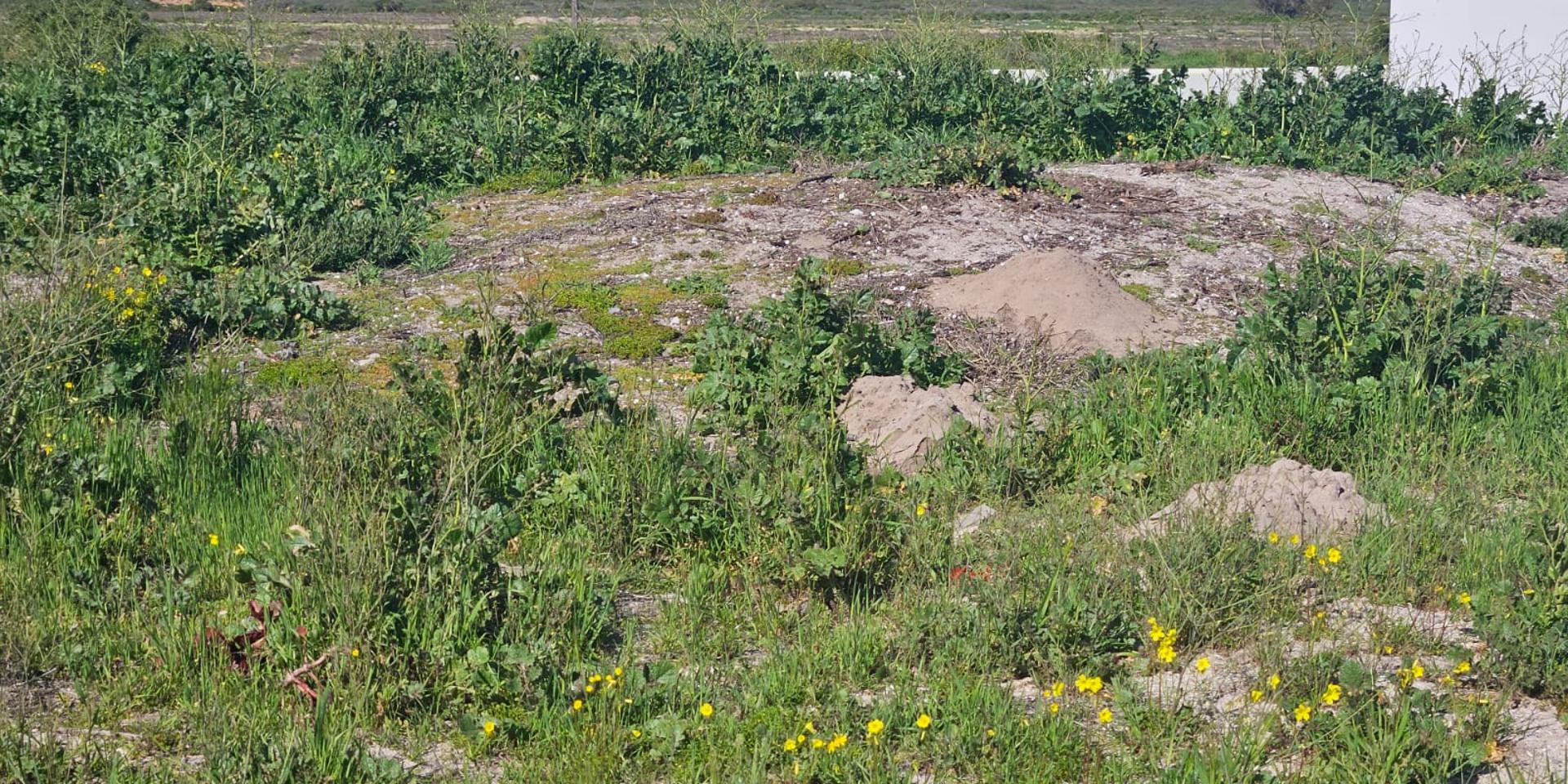 Image 4 of 6