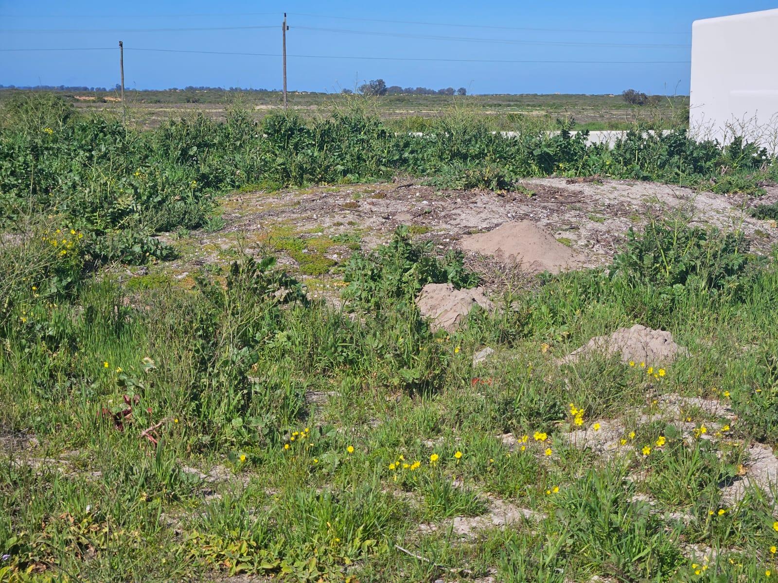 Image 4 of 6